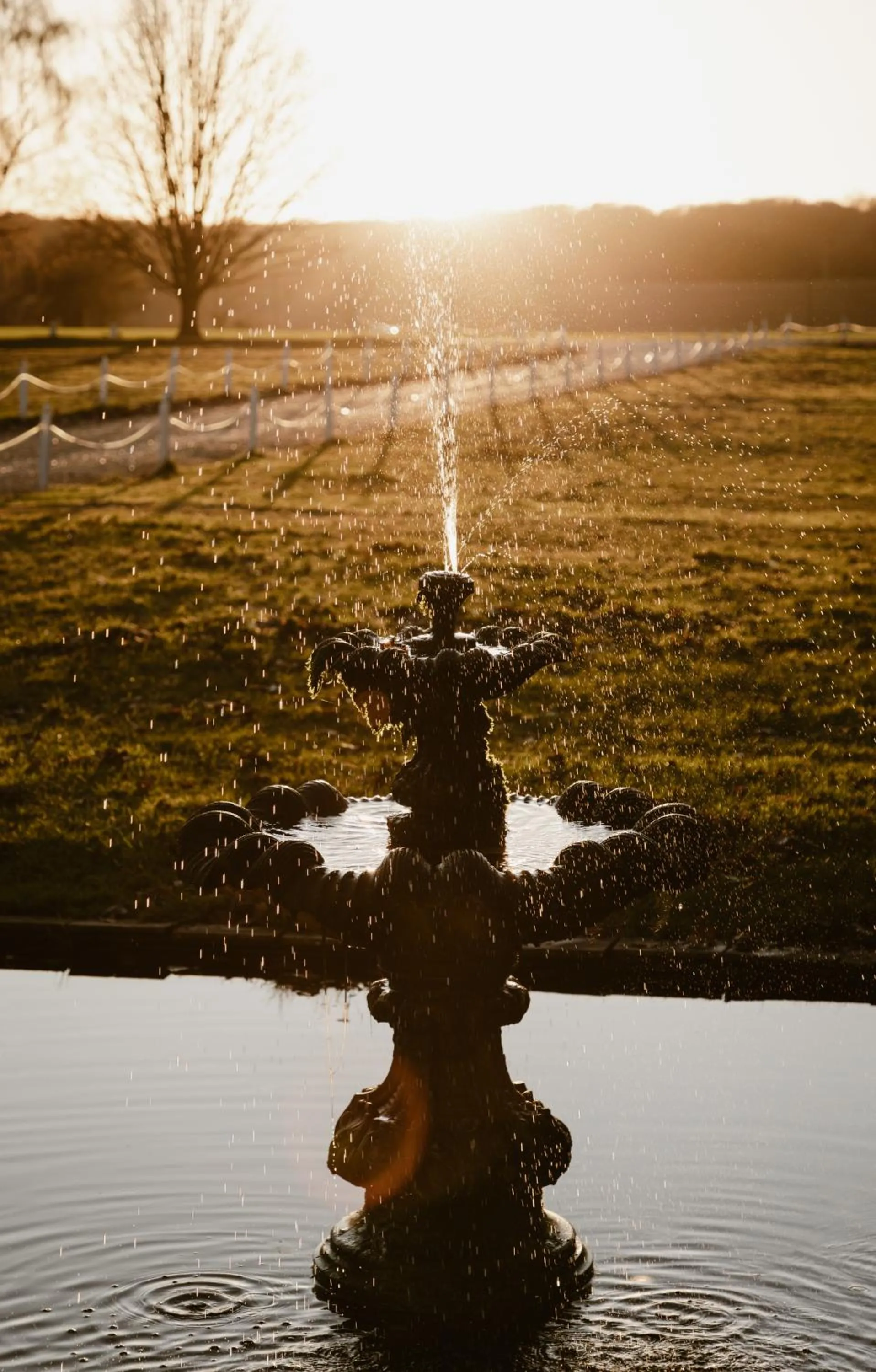 Day in Hintlesham Hall Hotel