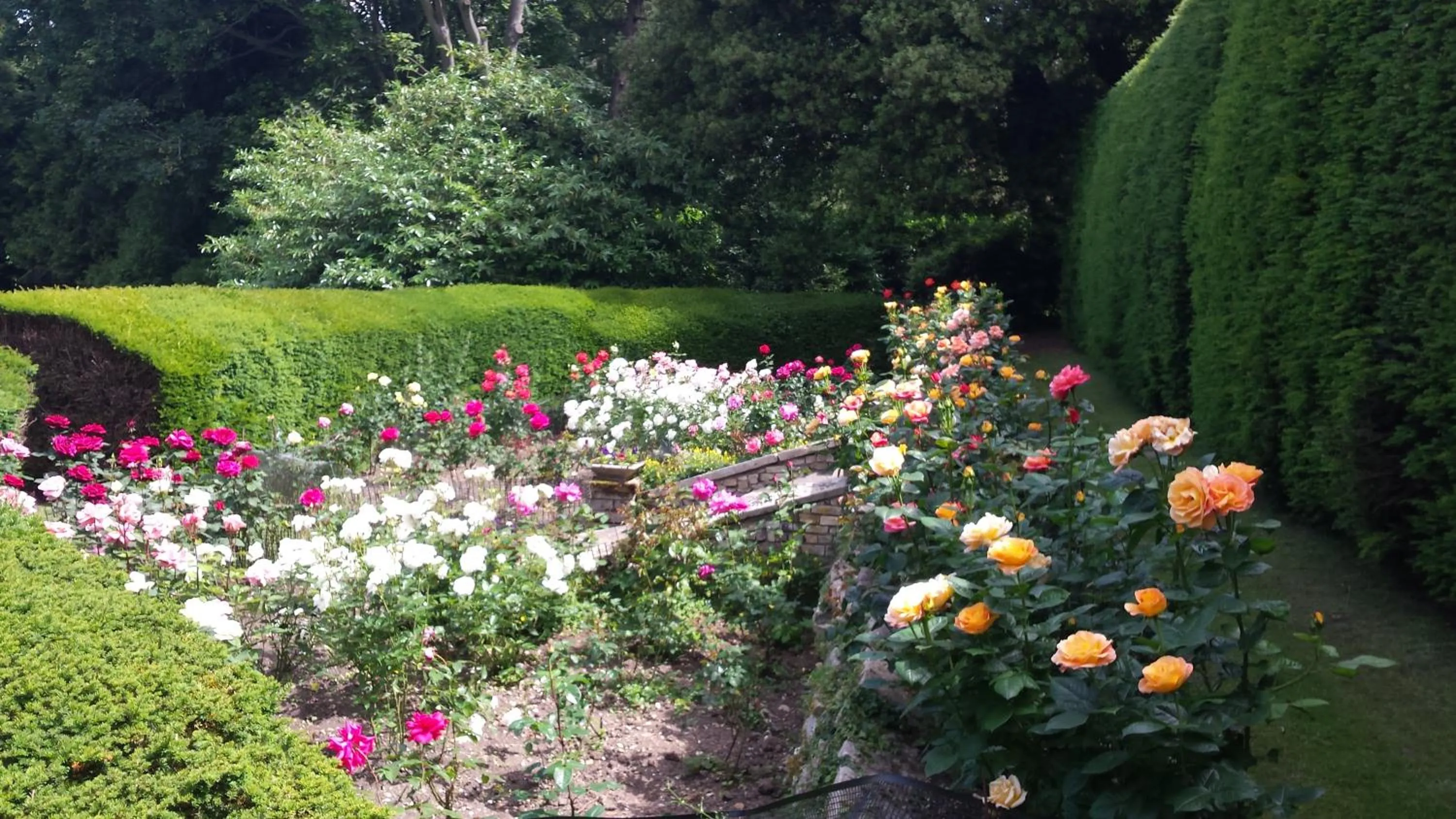 Garden view in Hintlesham Hall Hotel