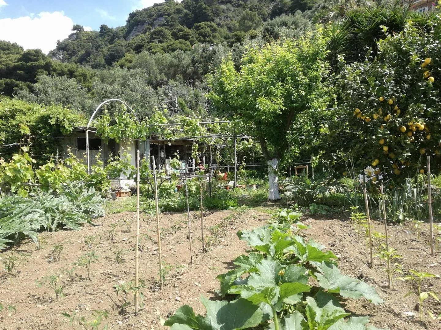 Garden in Madalenas B&B