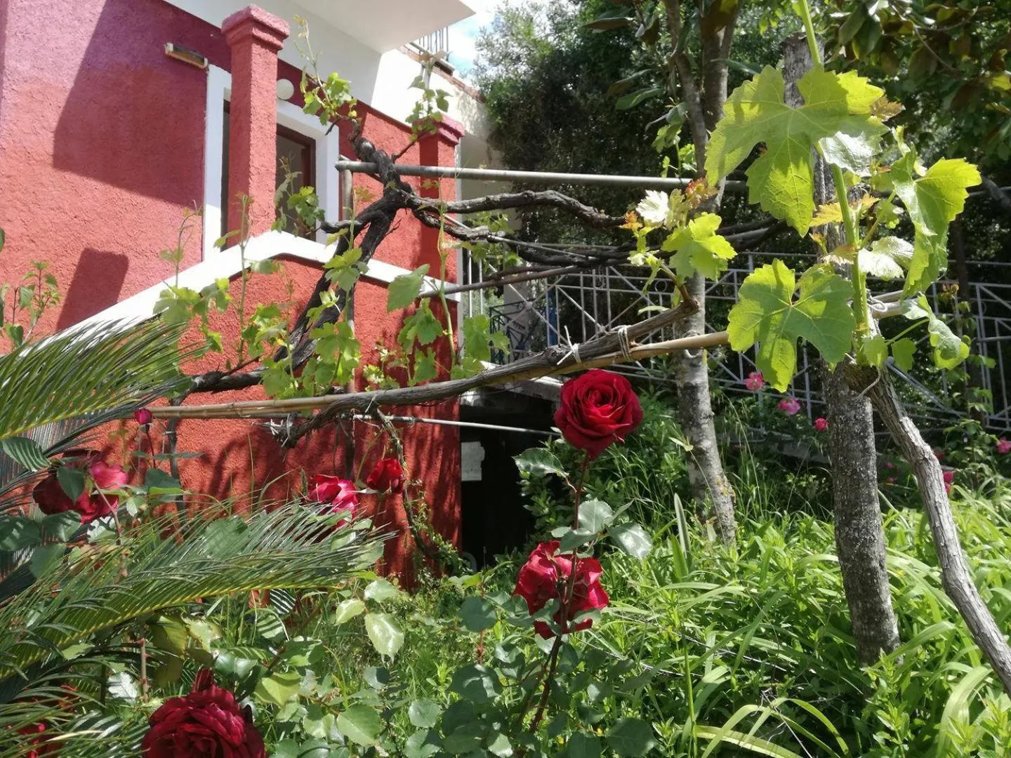 Garden view in Madalenas B&B