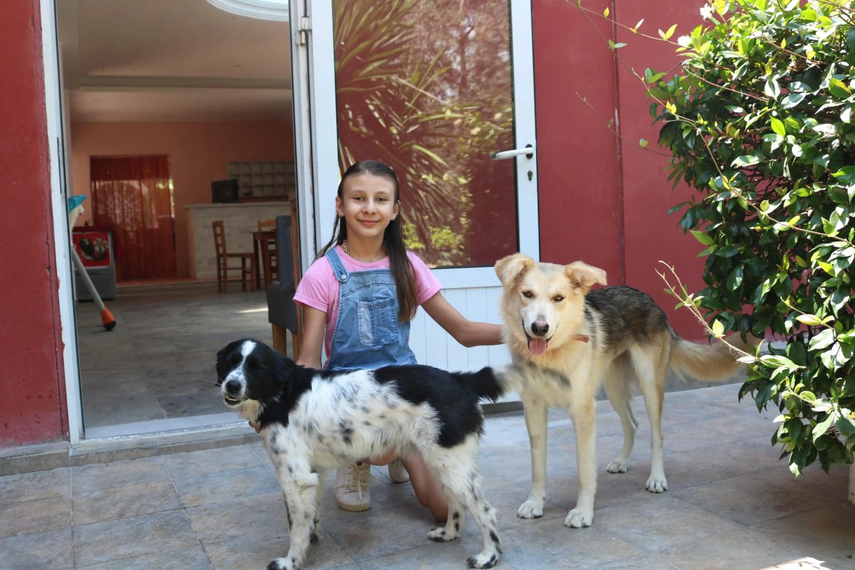 Pets in Madalenas B&B