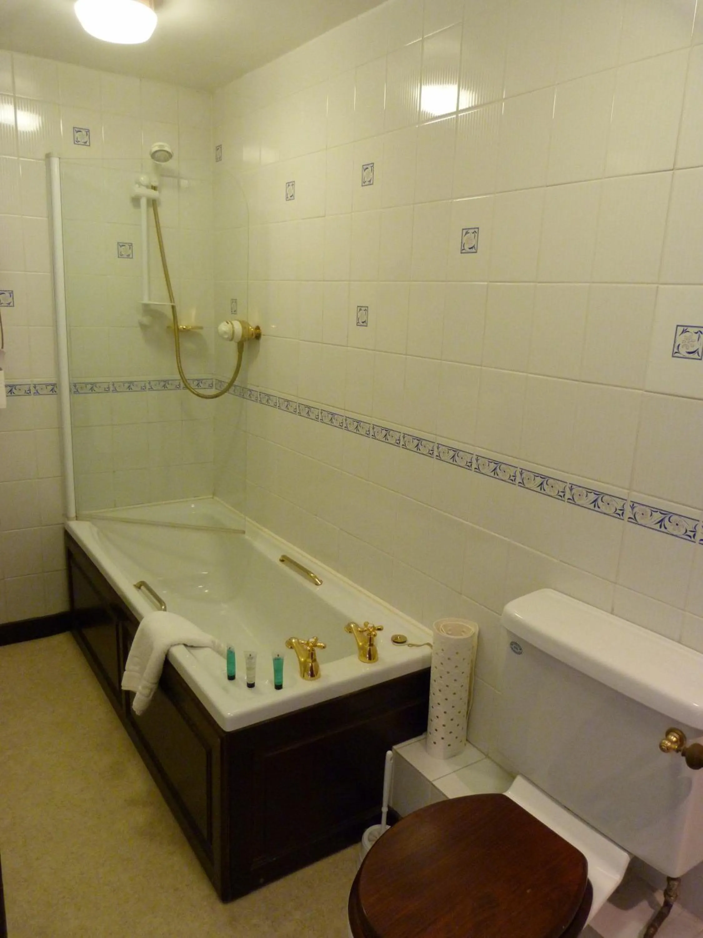 Toilet in Cameley Lodge - Self Catering