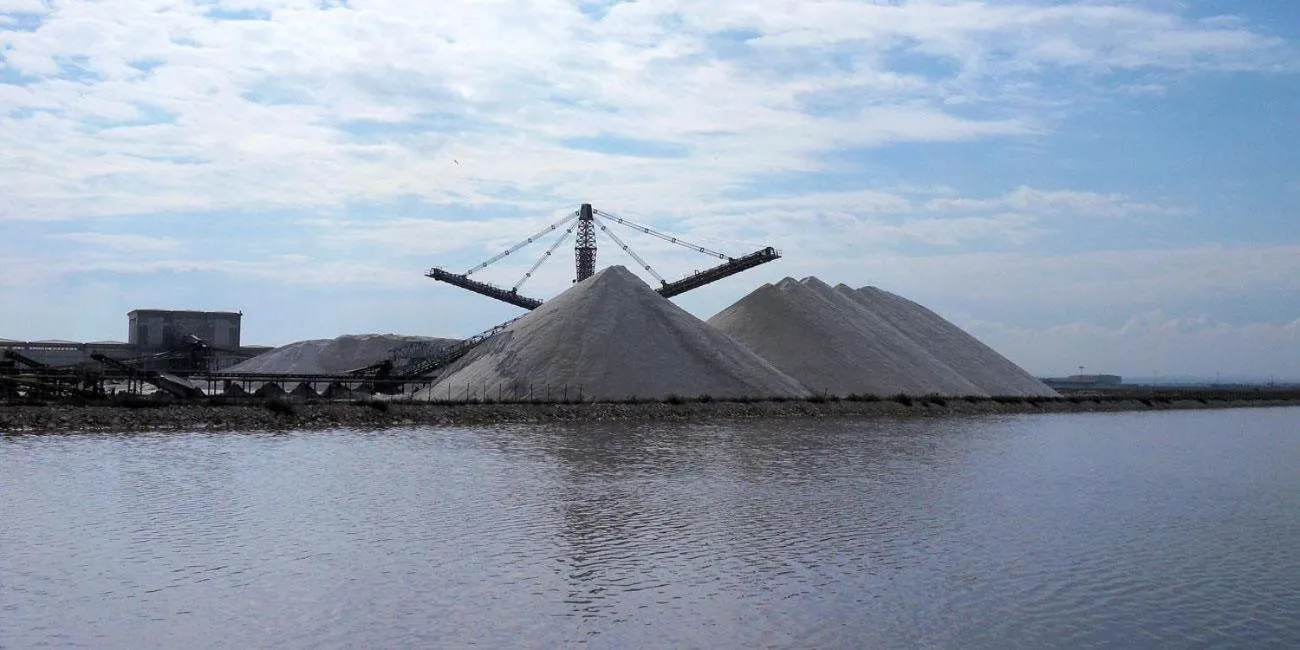 Logo/Certificate/Sign in Margheritamare