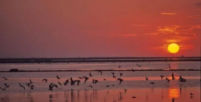 On site in Margheritamare