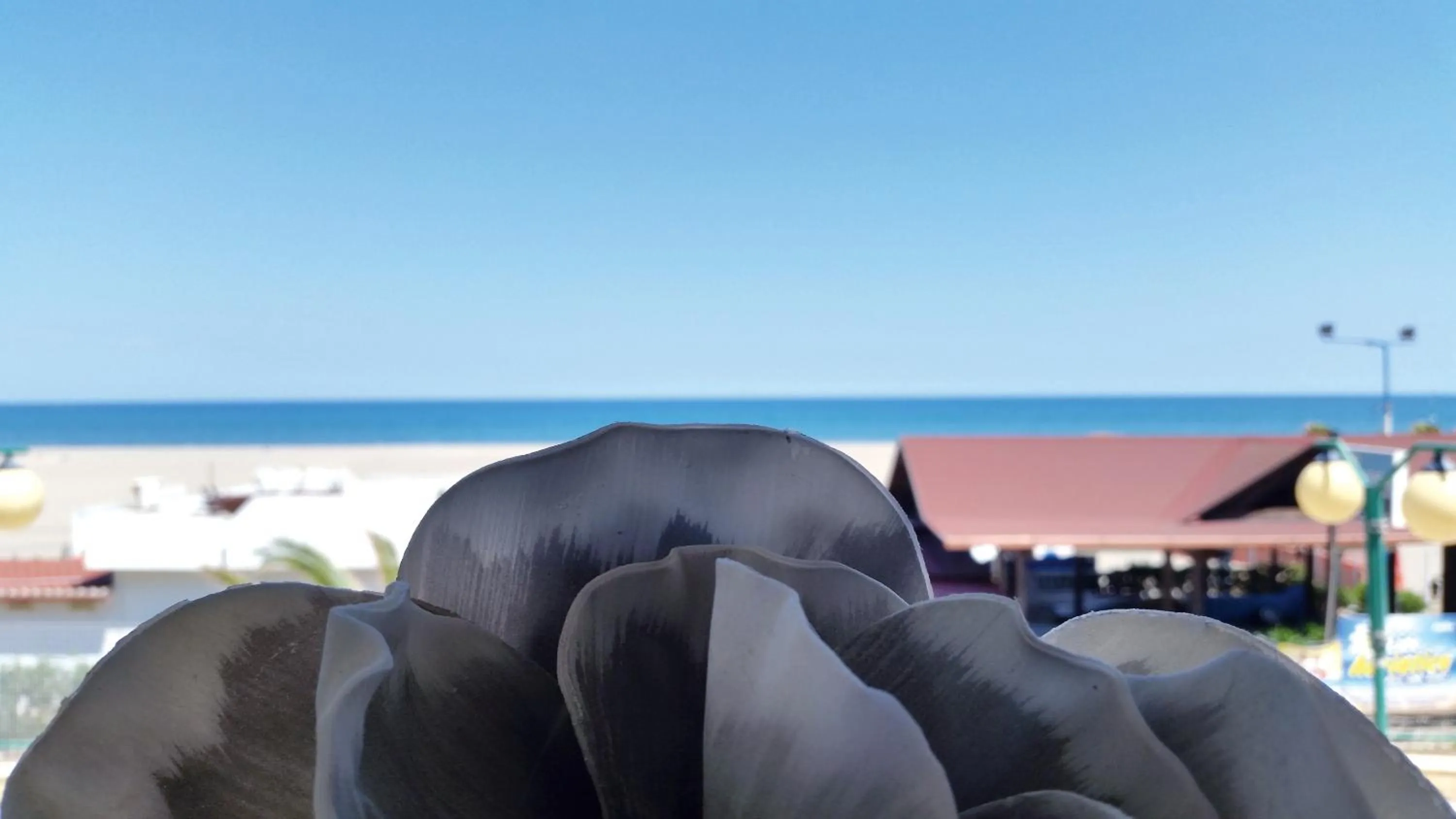 Sea view in Margheritamare