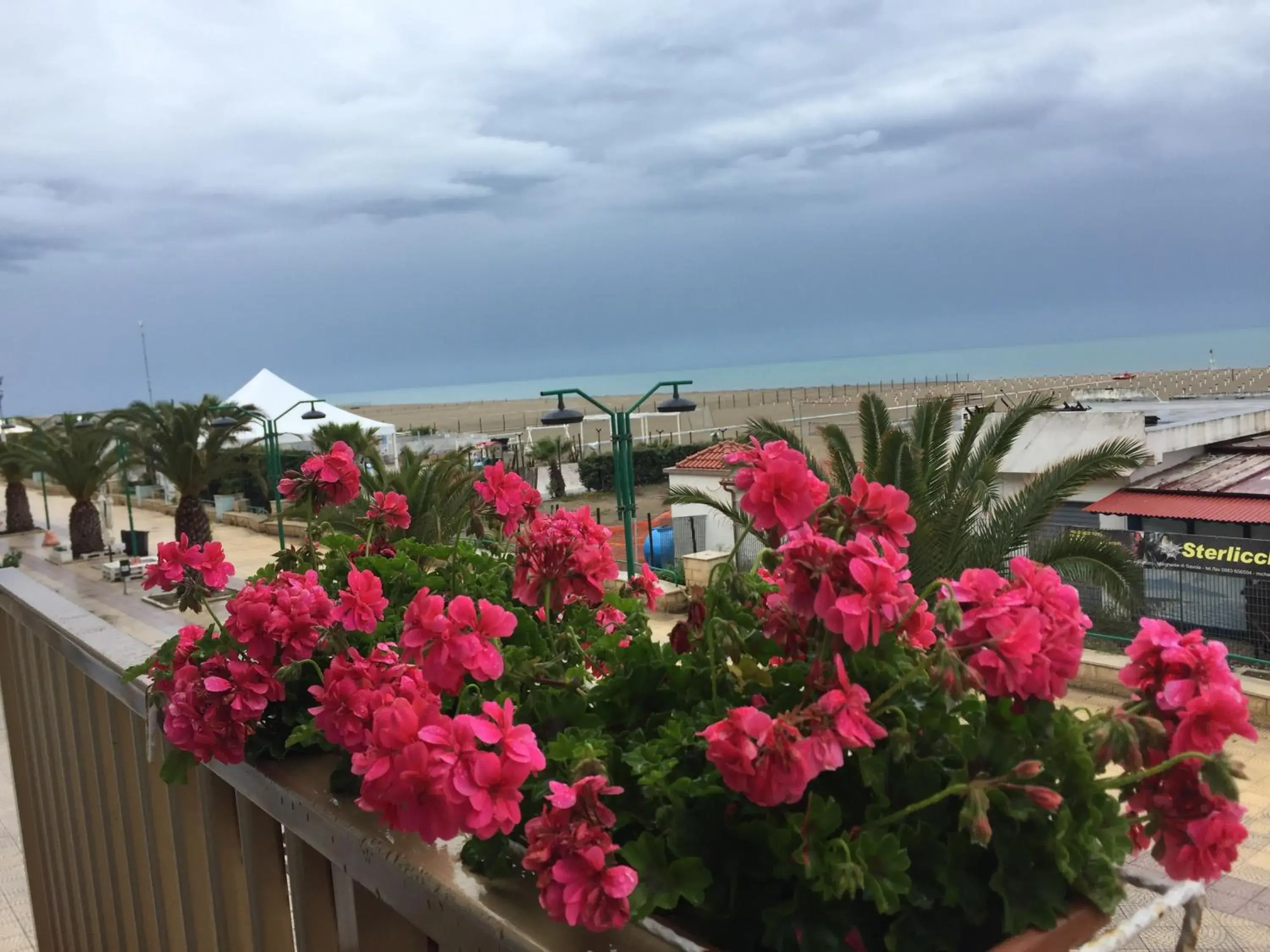 Margheritamare Margheritamare