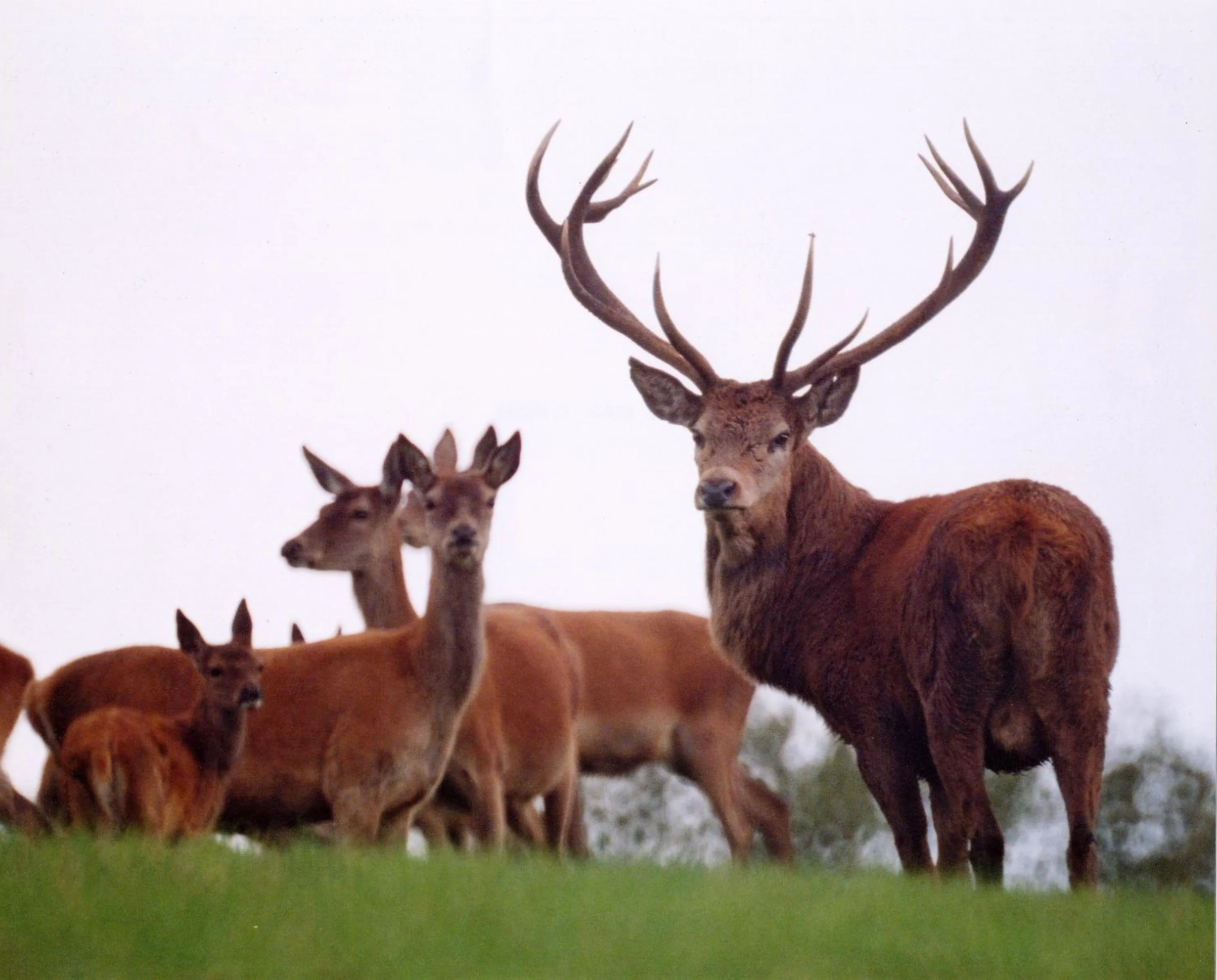 Area and facilities in Yarn Market Hotel