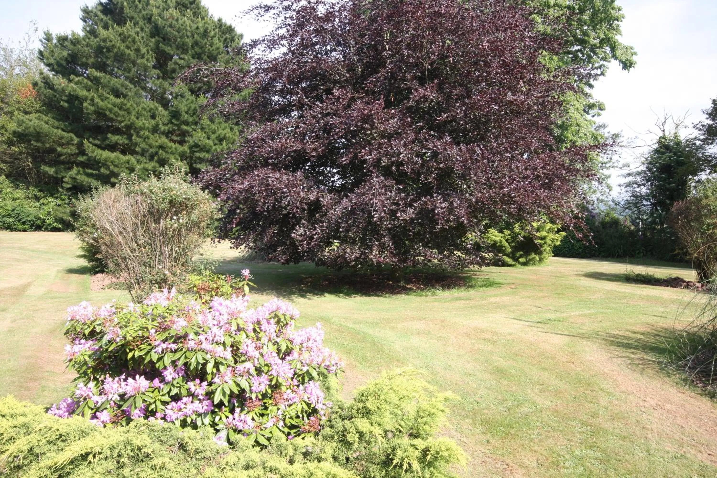 Garden in Gipsy Hill Hotel