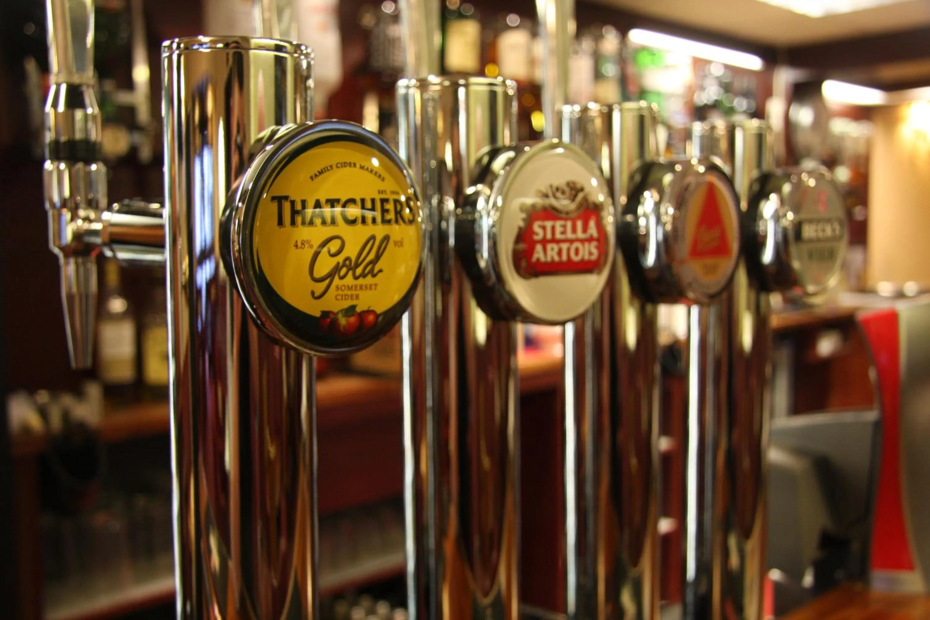 Lounge or bar in Gipsy Hill Hotel