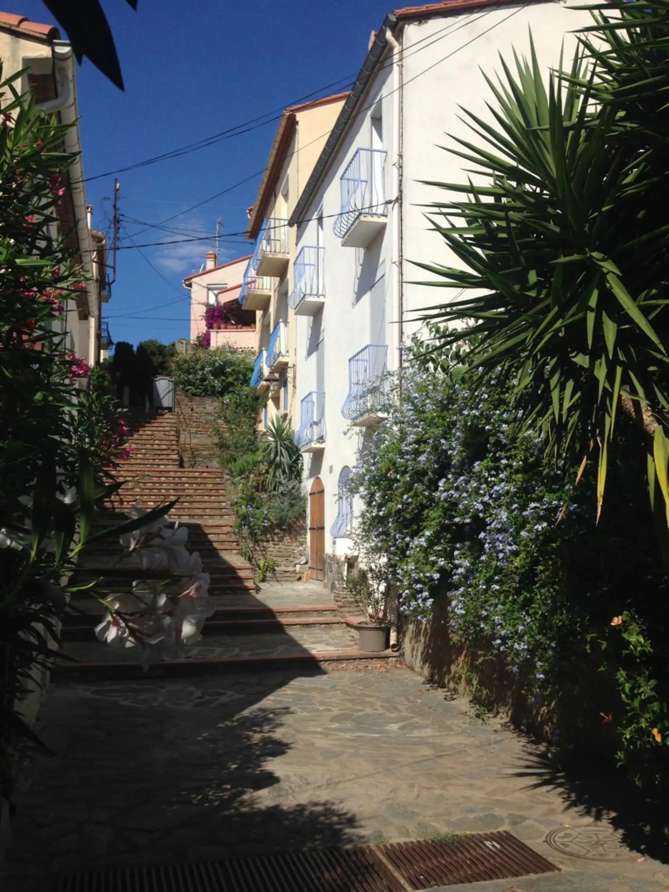 Maison Banyuls Maison Banyuls