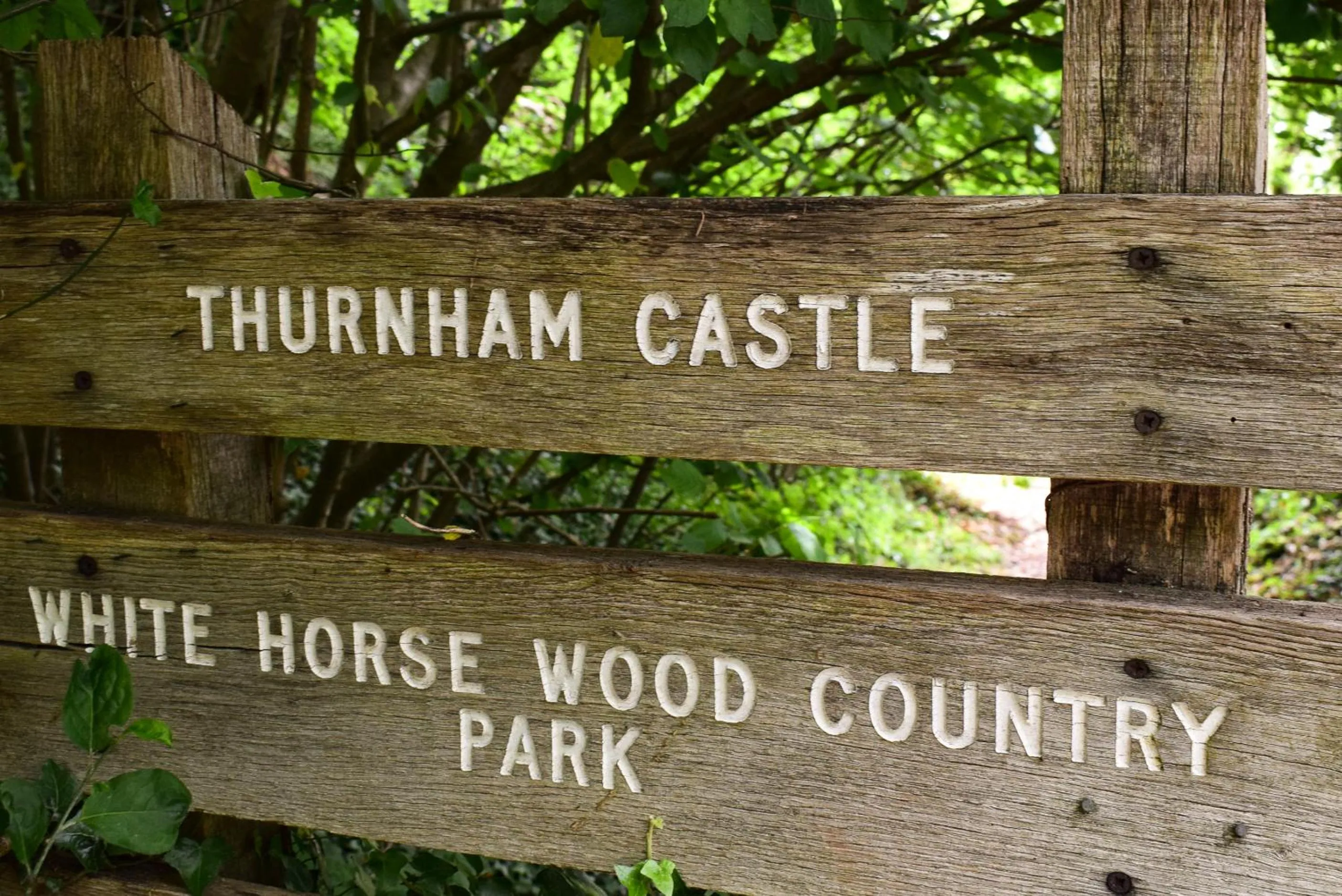 Natural landscape in The Black Horse Inn