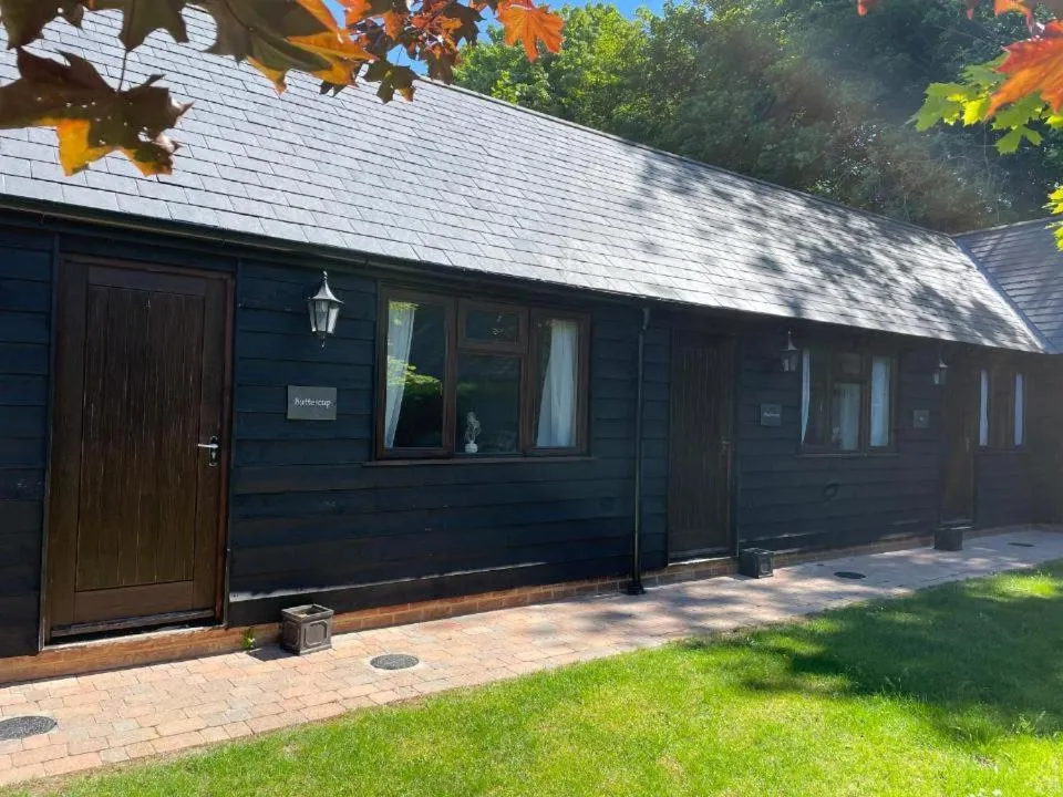 Property building in The Black Horse Inn