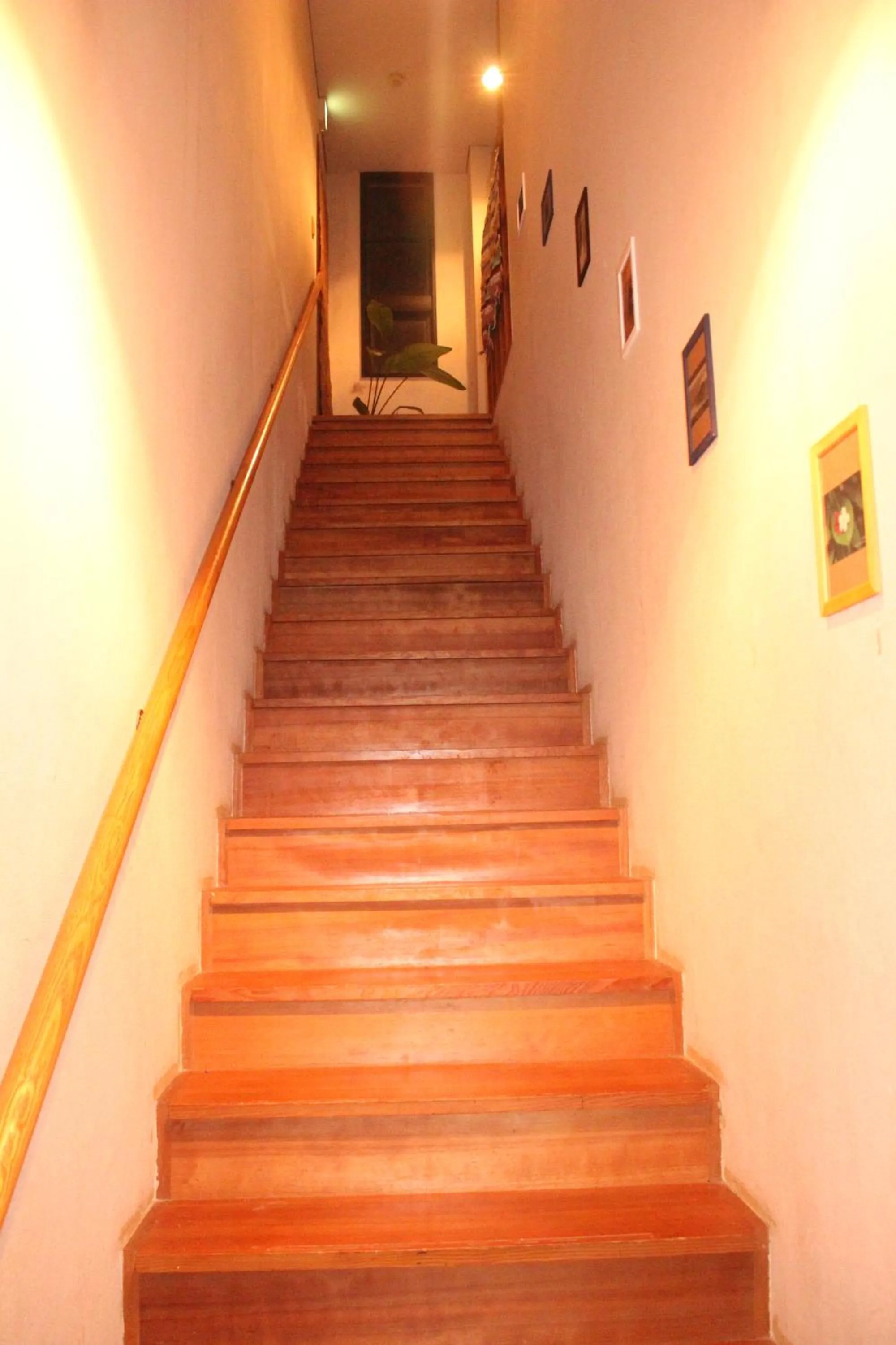 Communal lounge/ TV room in guest house Holoholo Ishigakijima