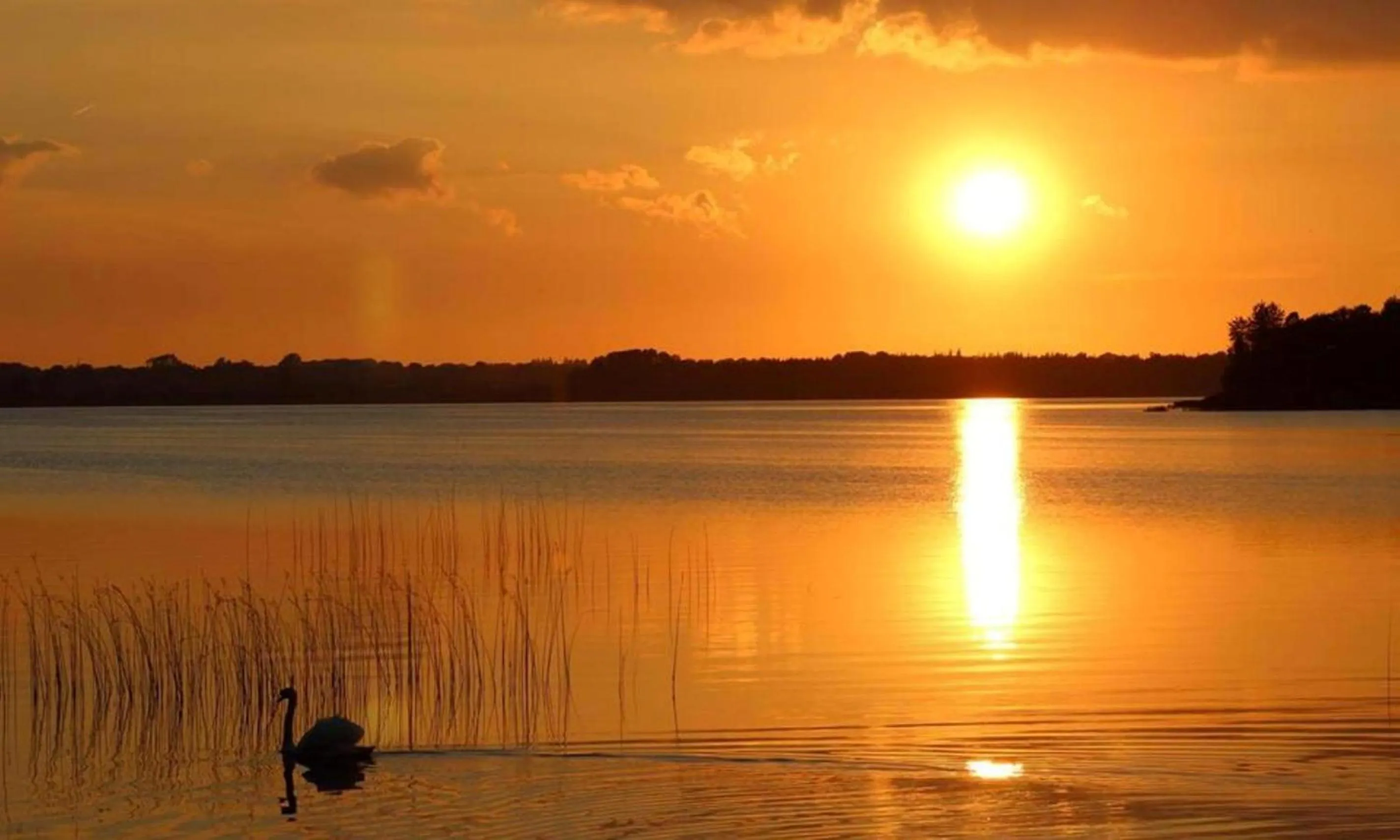 Nearby landmark in Bloomfield House Hotel, Leisure Club & Spa