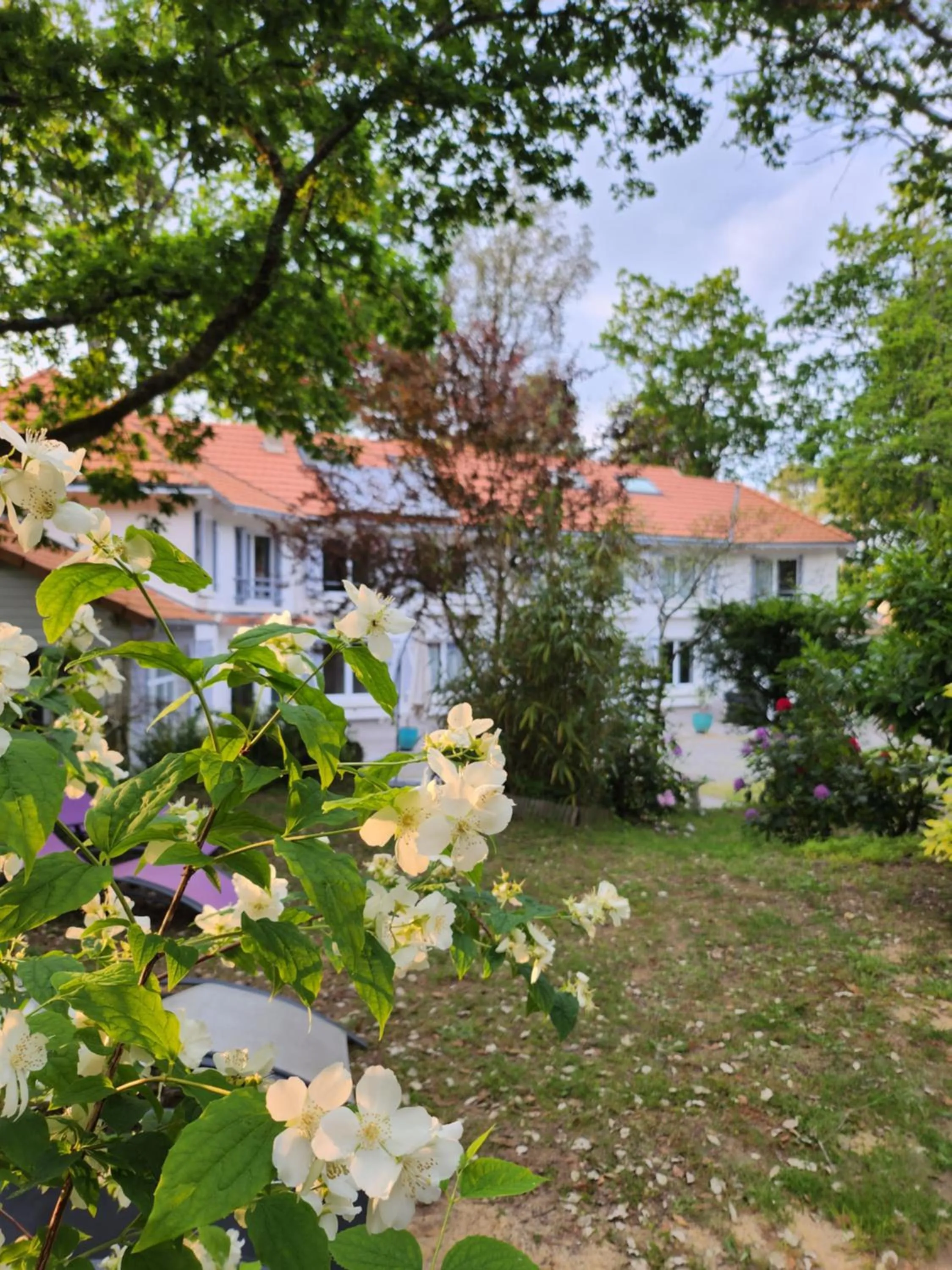 Garden in BREVOCEAN Chb calme Côte Atlantique