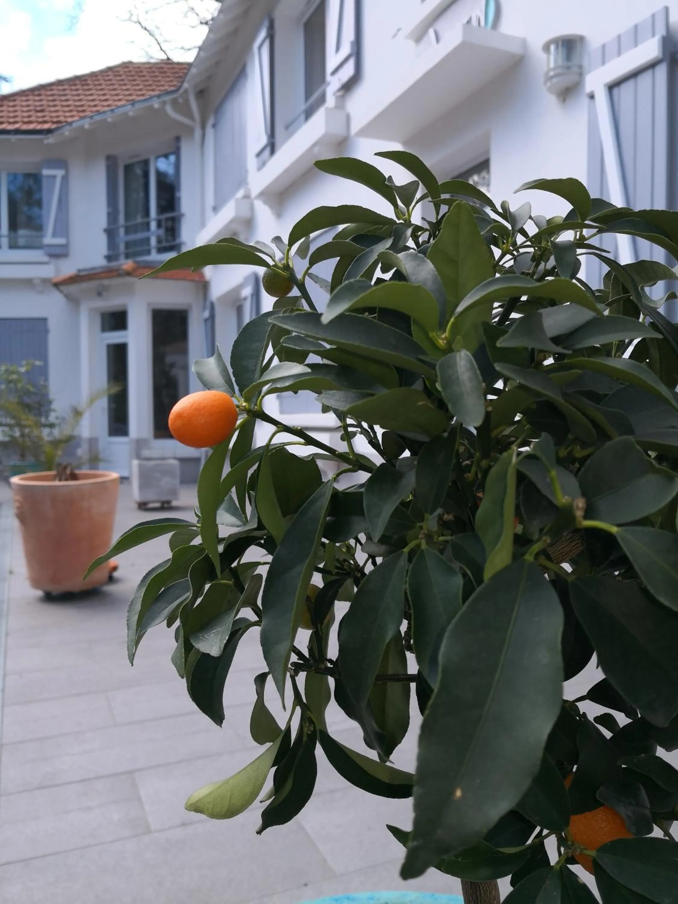 Patio in BREVOCEAN Chb calme Côte Atlantique