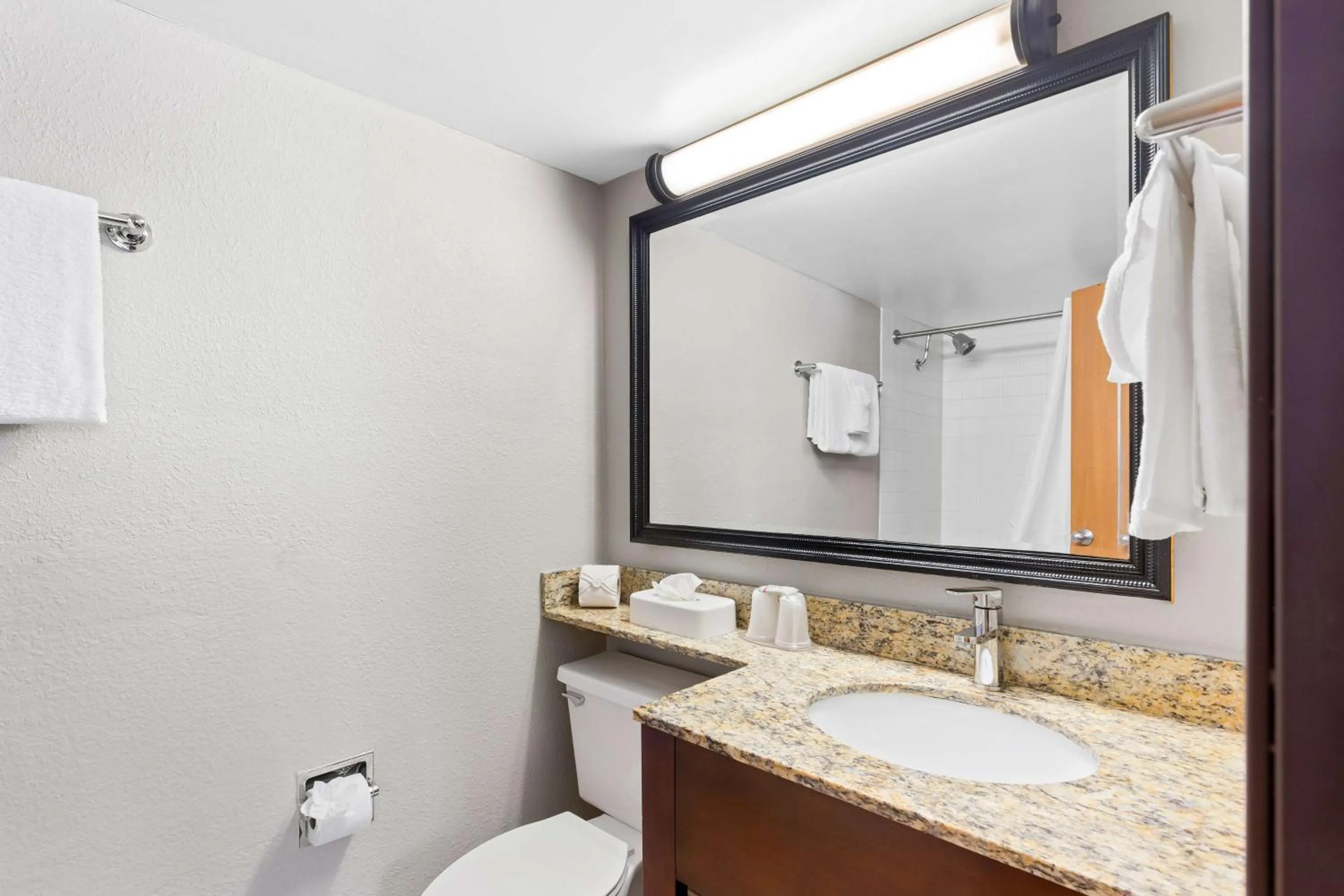 Bathroom in Best Western Naperville Inn