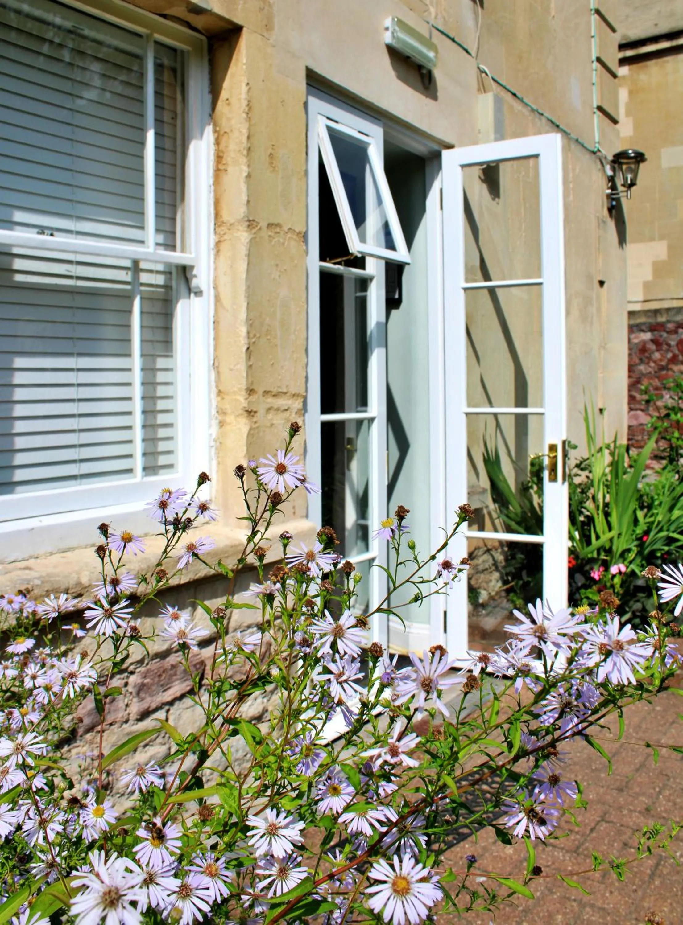 Garden in Victoria Square Hotel Clifton Village