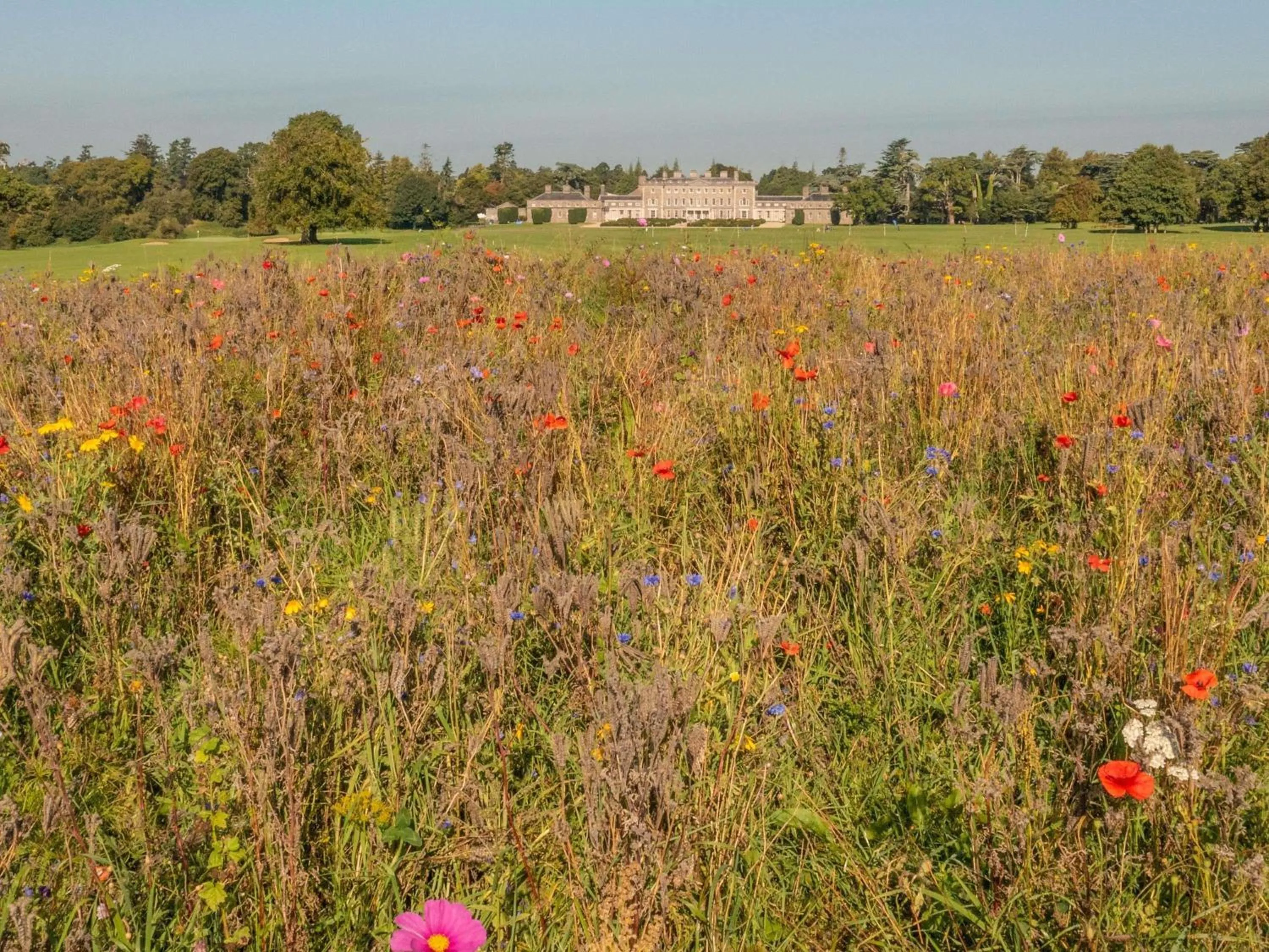 Golfcourse in Carton House A Fairmont Managed hotel