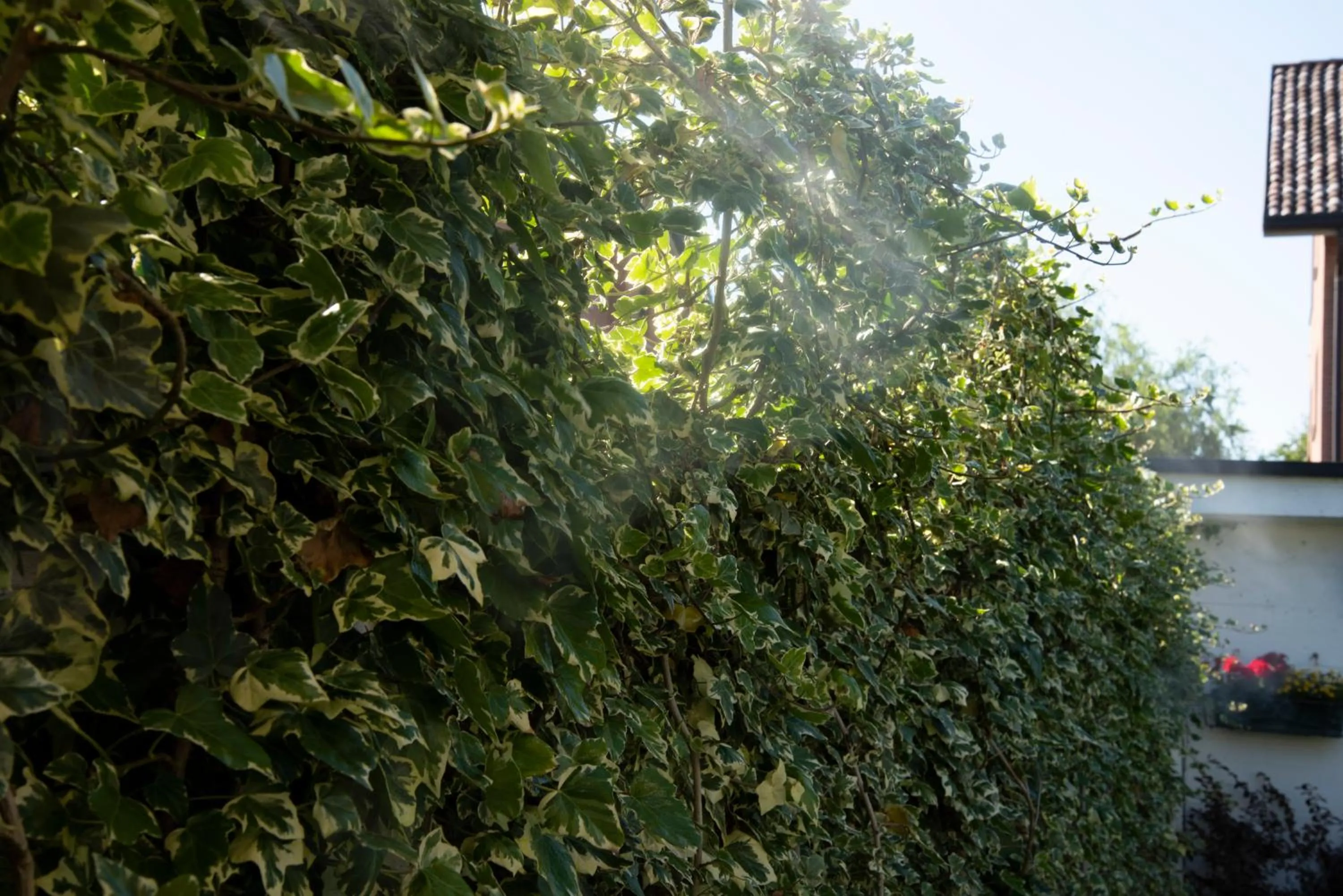 Area and facilities in Cascina36 B&B