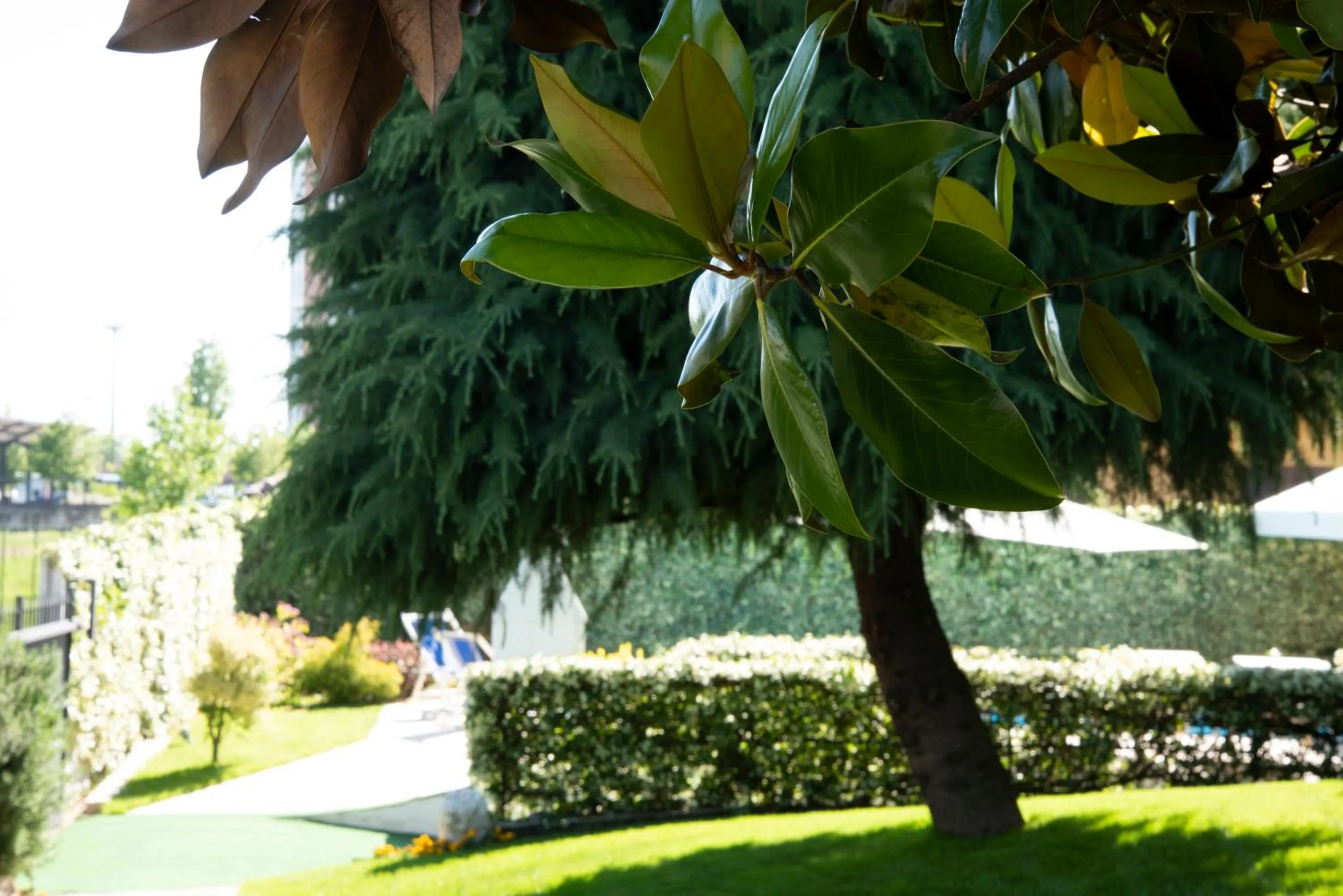 Garden in Cascina36 B&B