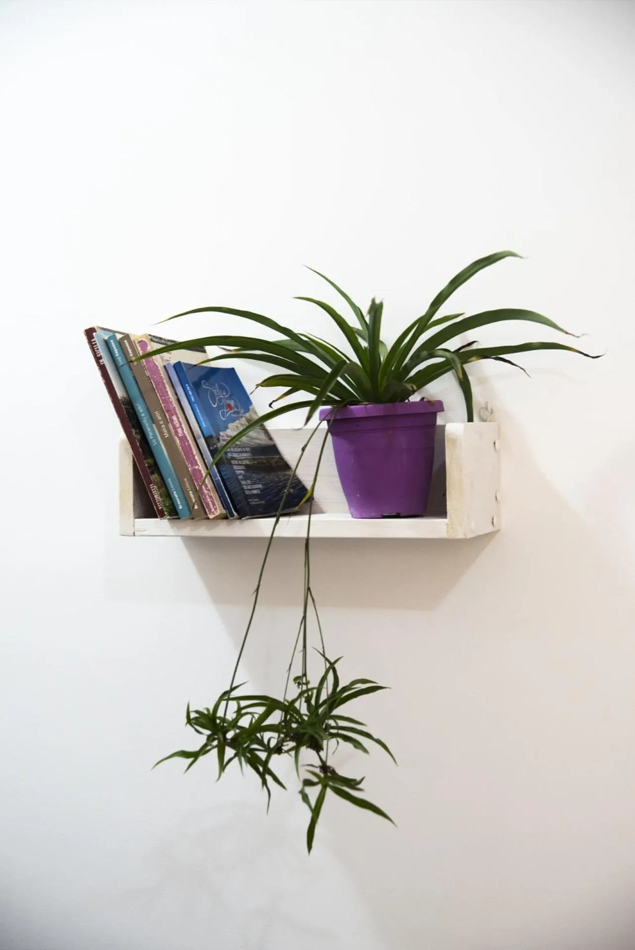 Communal lounge/ TV room in Cavaliere Costa