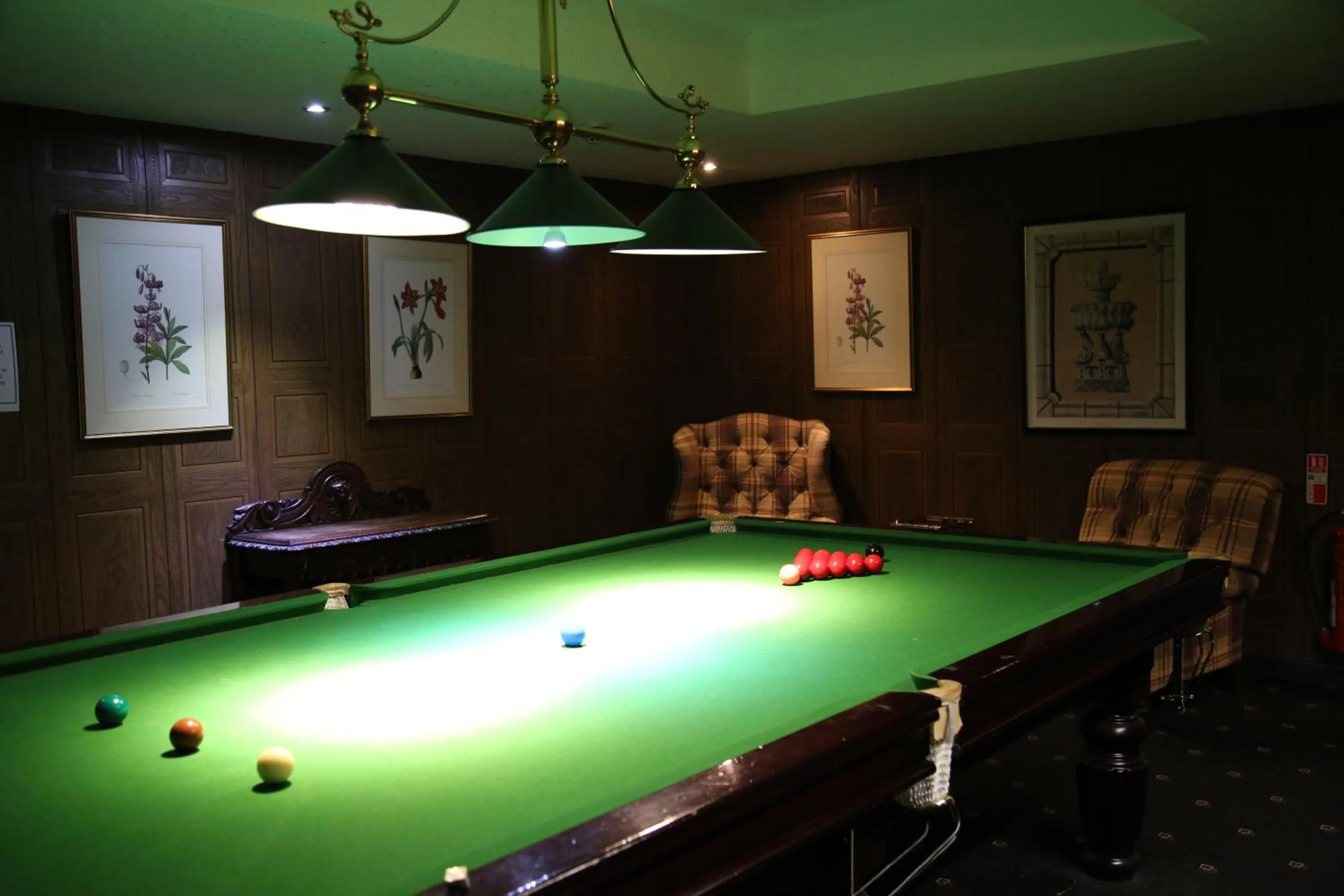 Game Room in Inn On The Prom At The Fernlea Hotel