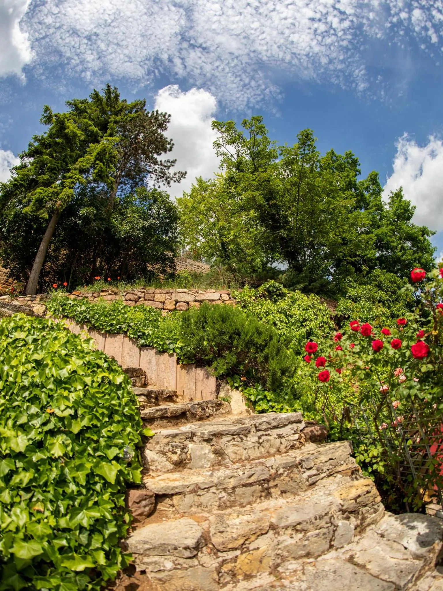 Natural landscape in Hotel Zum Burggraf