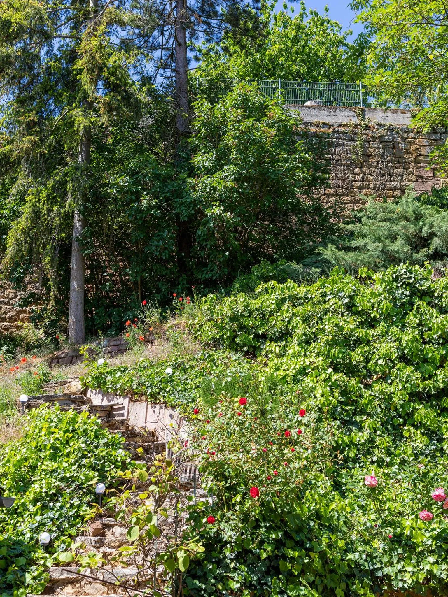 Garden view in Hotel Zum Burggraf