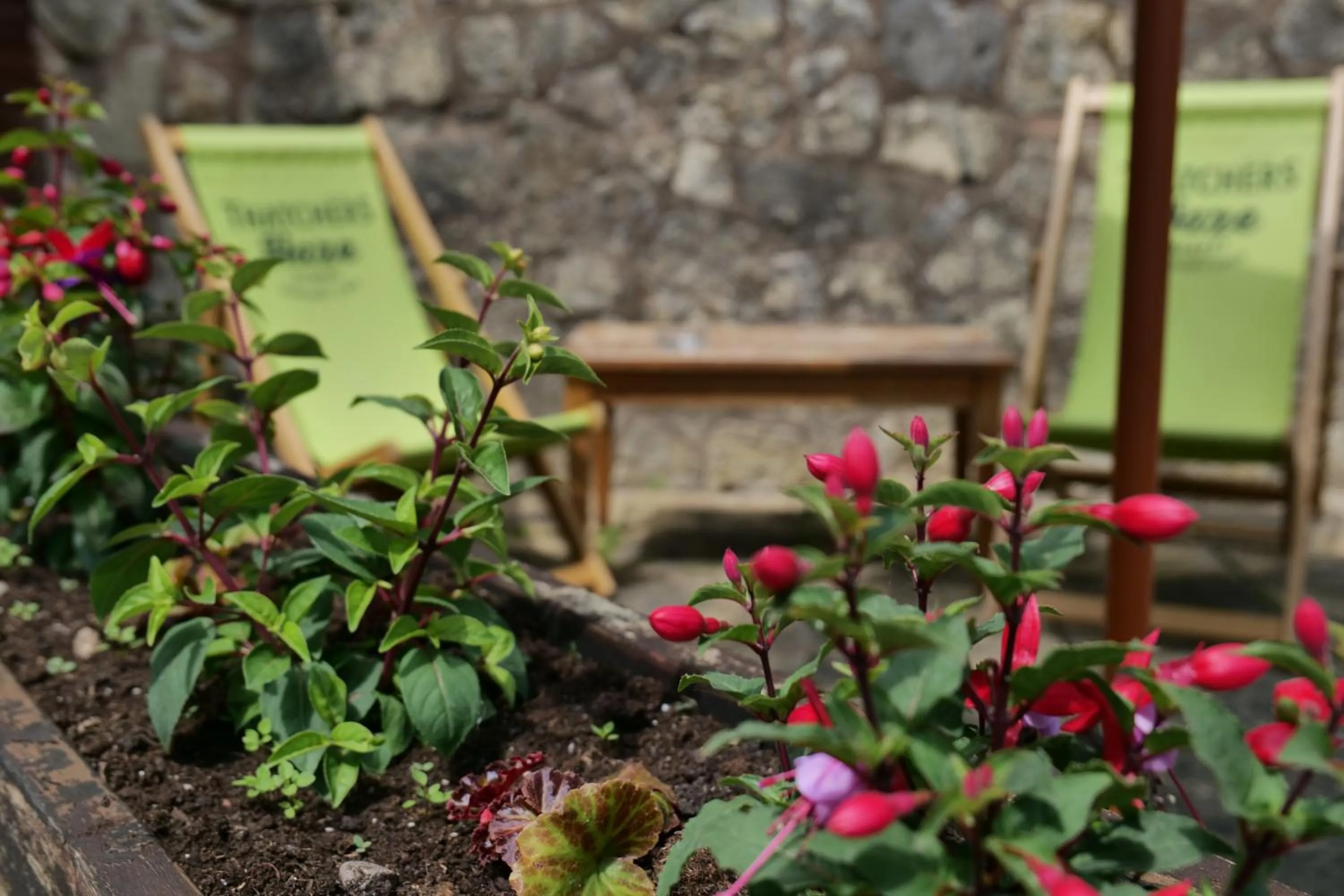 Garden in The Mary Arden Inn