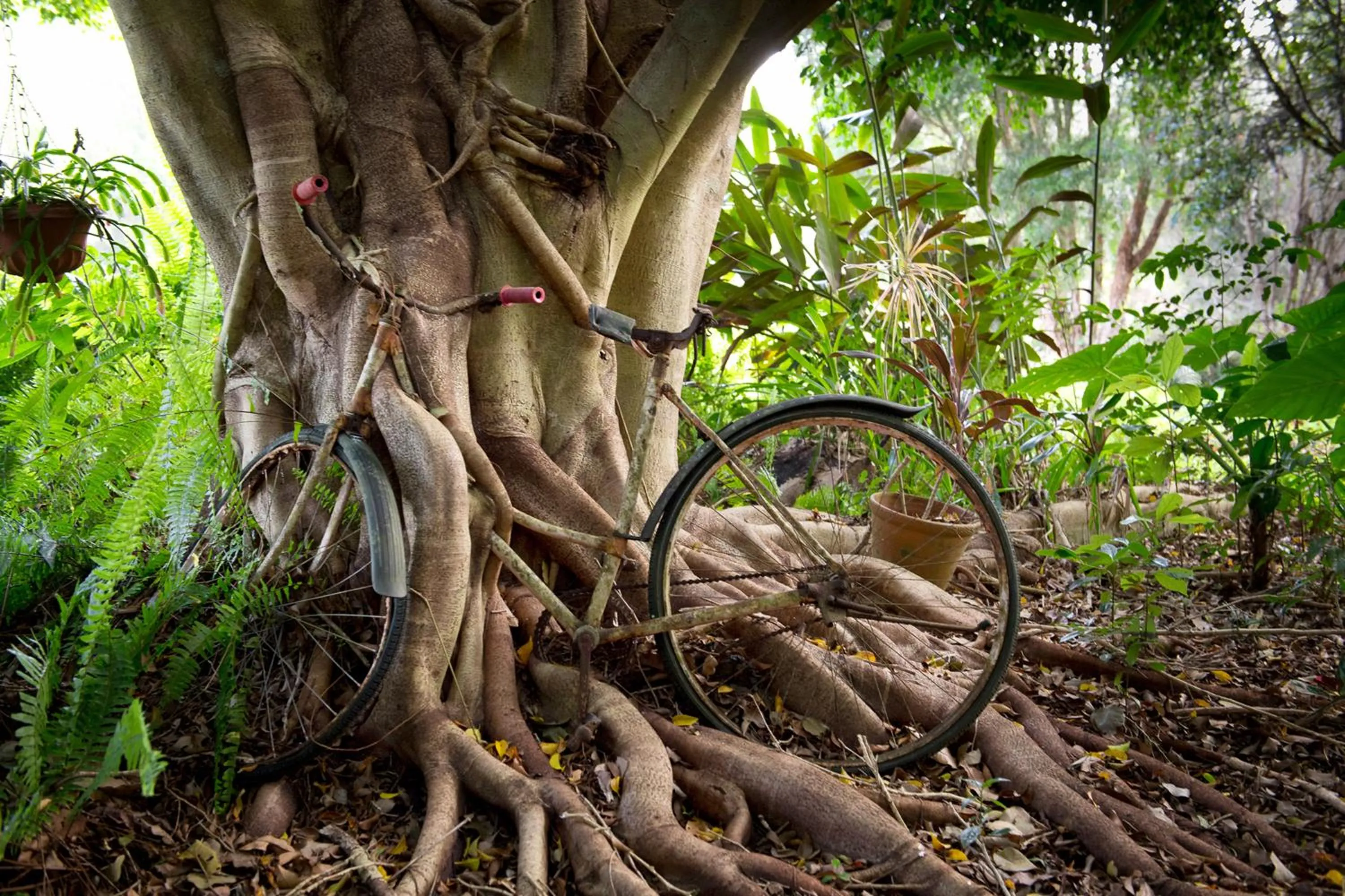 Garden in Sharlynn by the River
