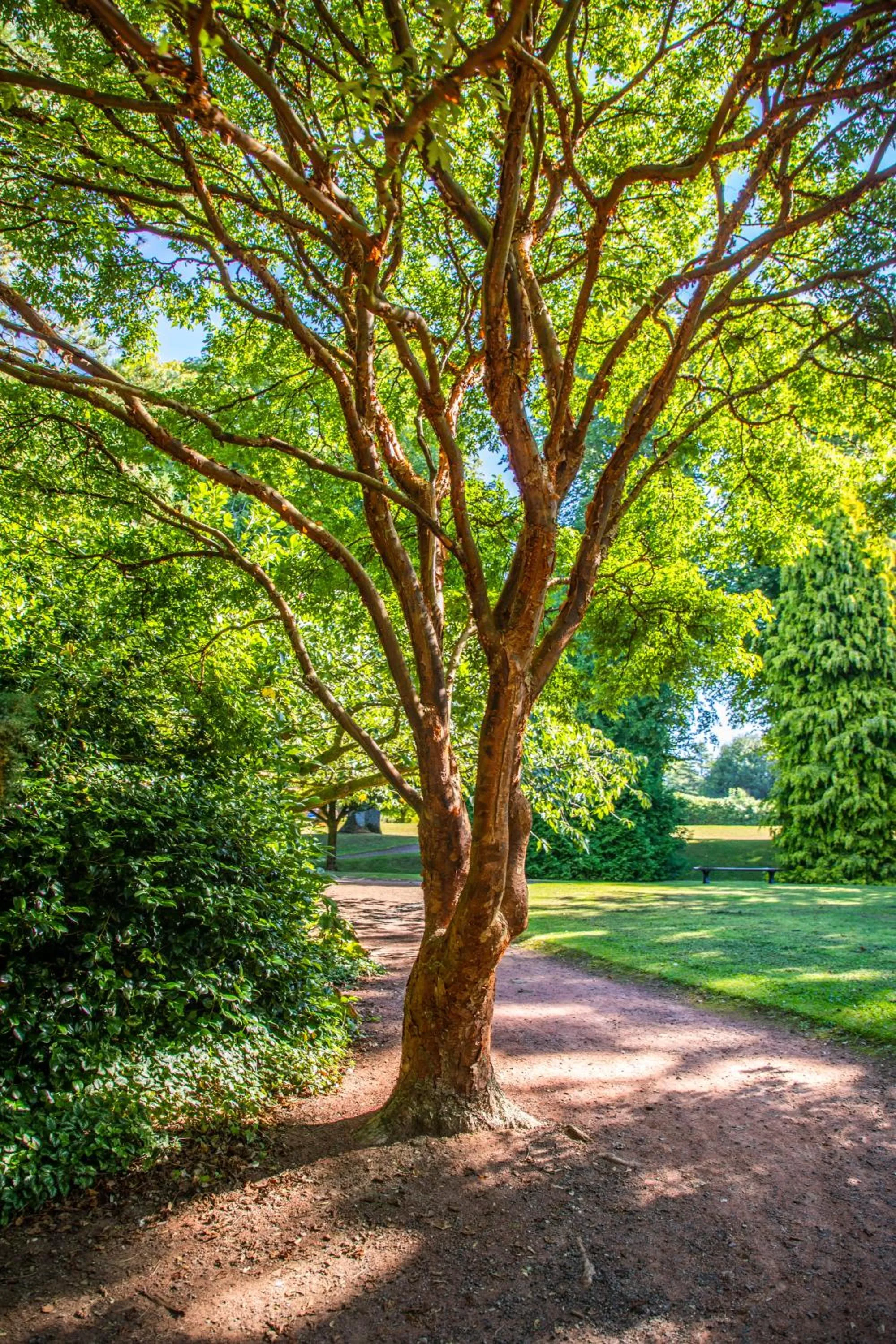 Garden in Holiday Inn Dumfries by IHG