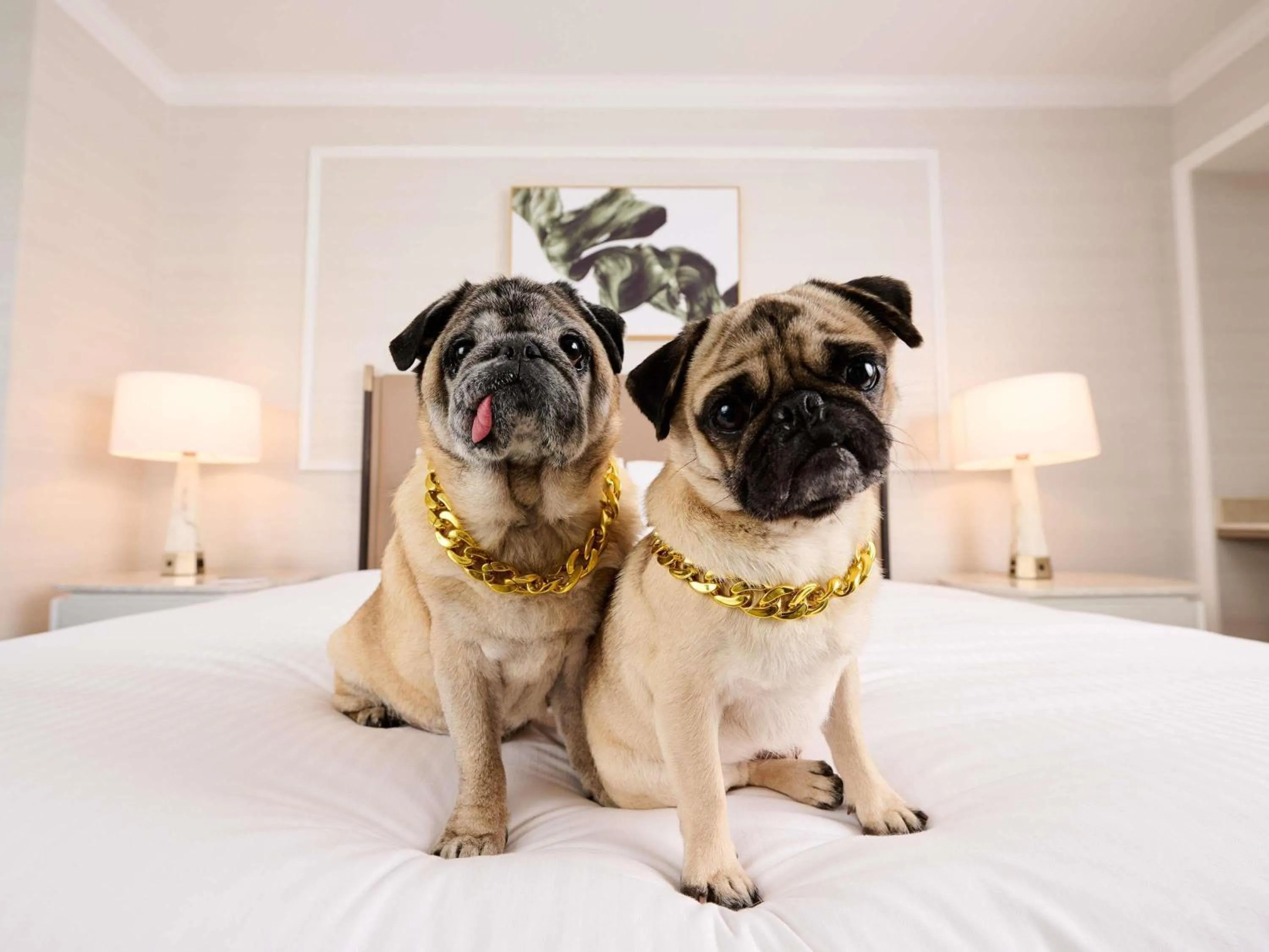 Other in Fairmont Chicago Millennium Park