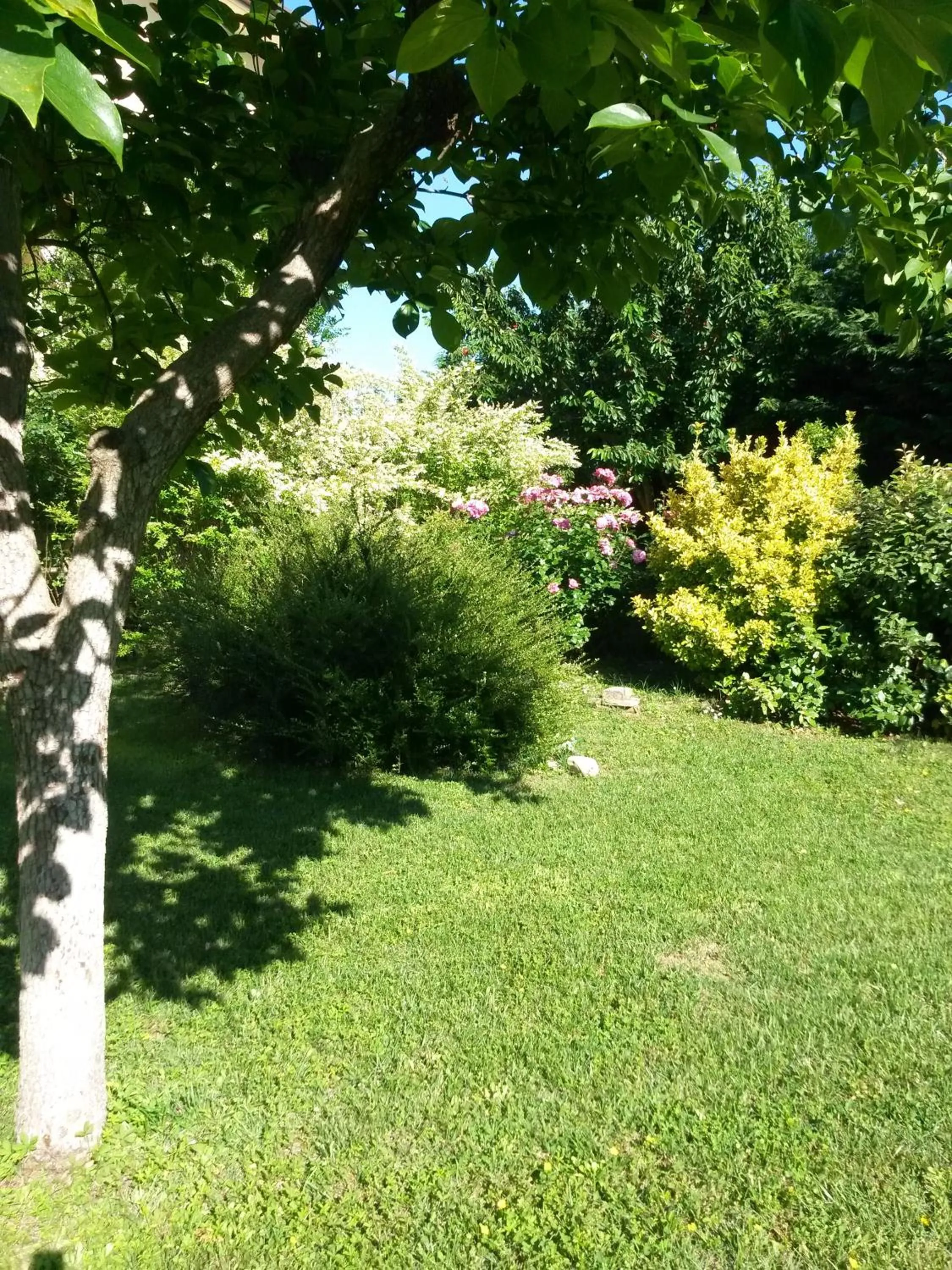 Garden view in CasaVittorio