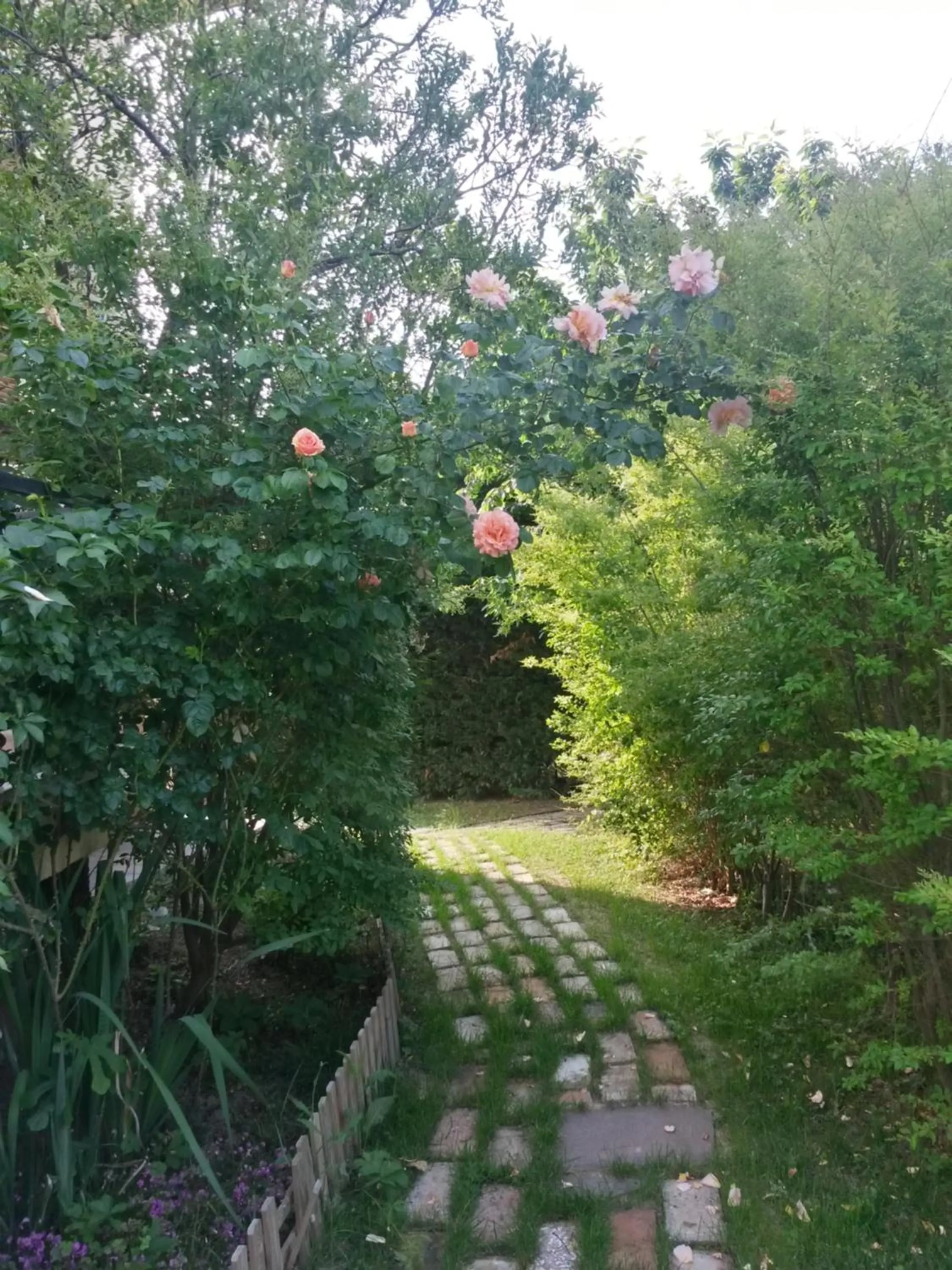 Garden in CasaVittorio
