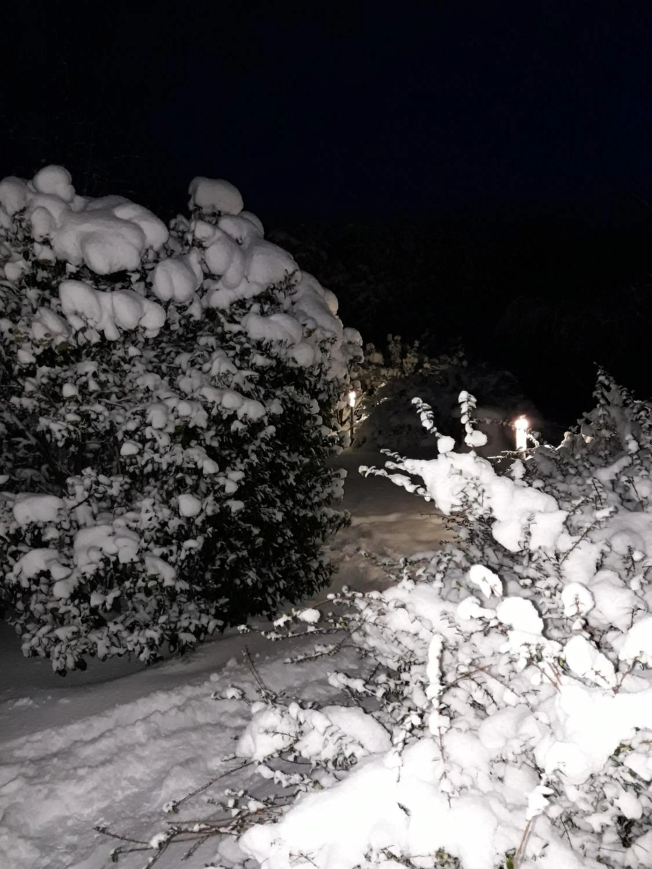 Garden view in CasaVittorio