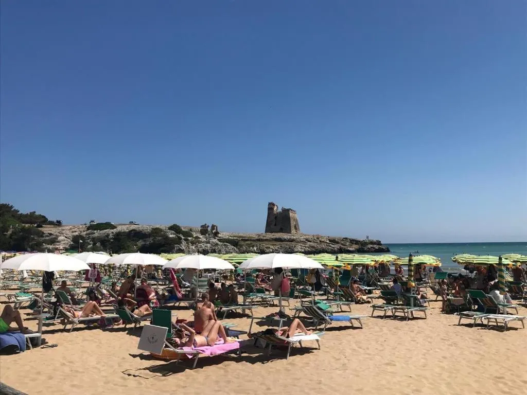 Nearby landmark in Residence Jolly