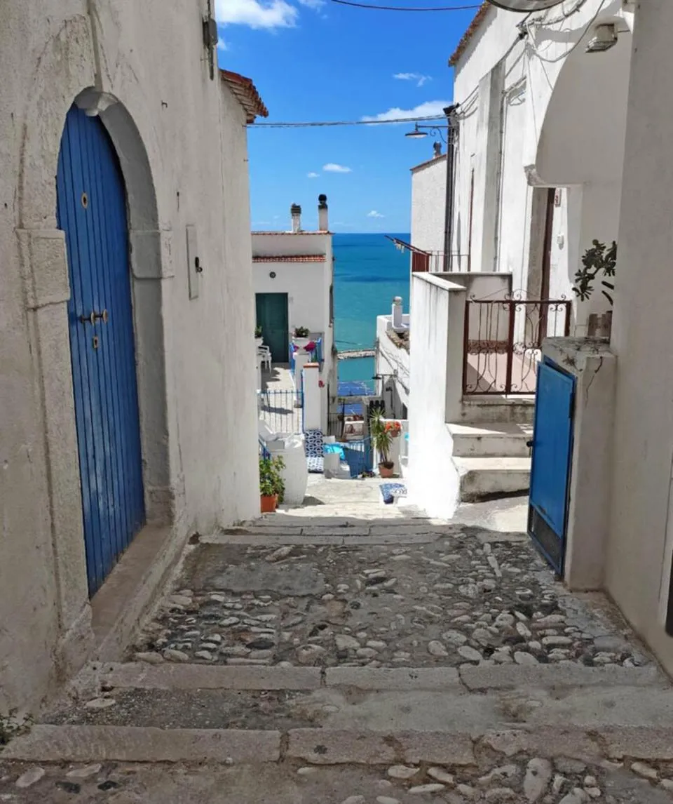 Nearby landmark in Residence Jolly