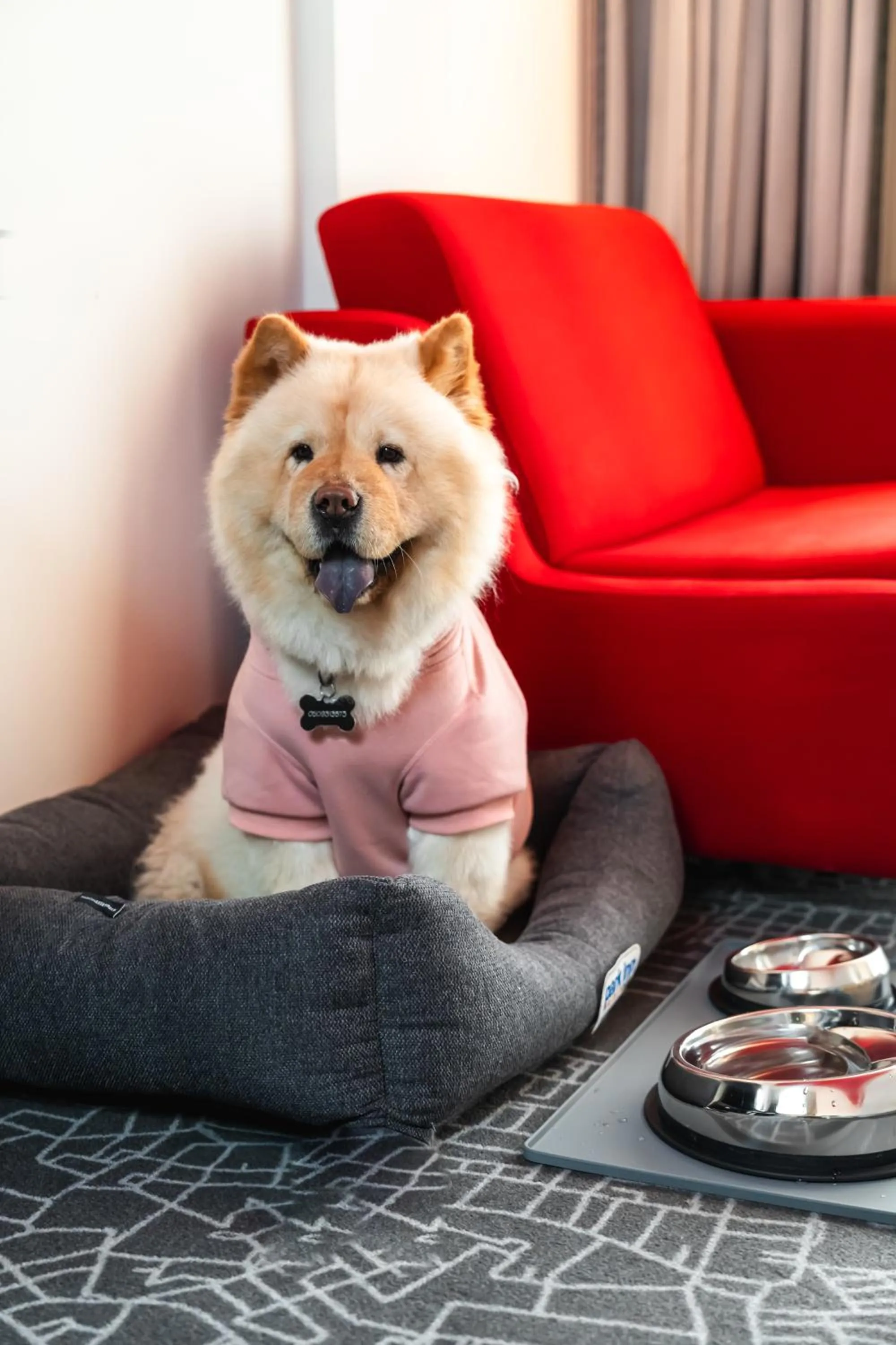 Pets in Park Inn by Radisson Dubai Motor City