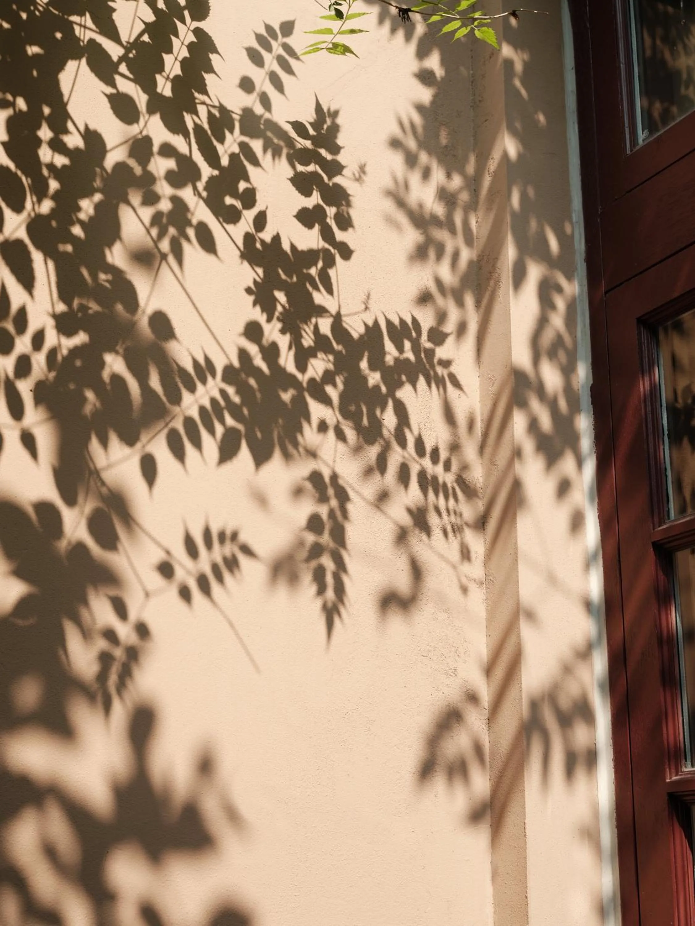 Natural landscape in Capella Shanghai, Jian Ye Li