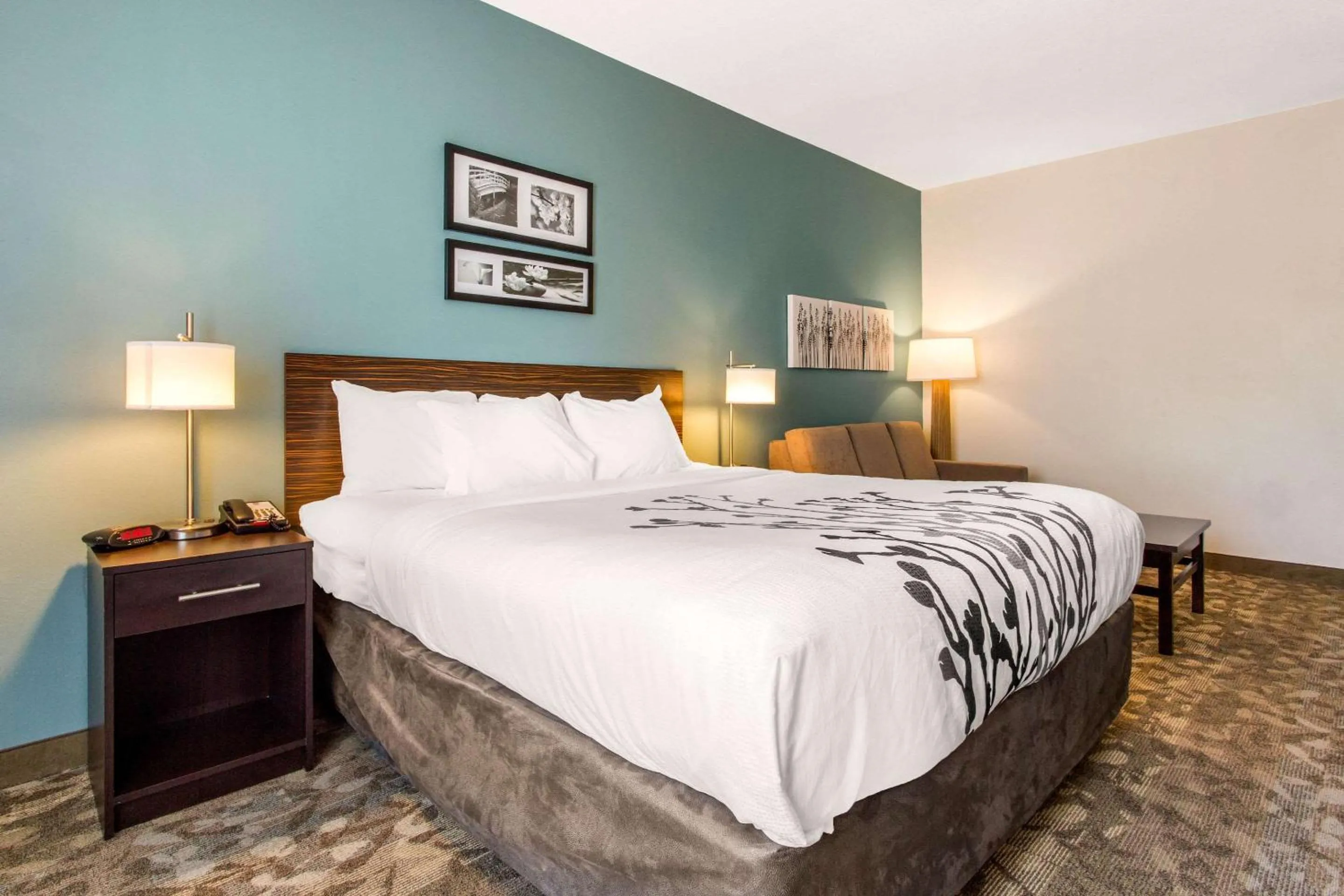 Bedroom, Bed in Sleep Inn & Suites Middletown - Goshen