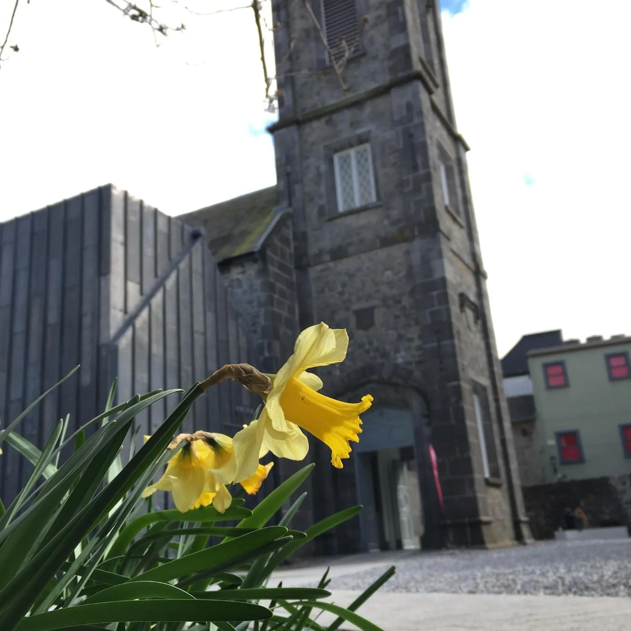 Entertainment in Kilkenny Hibernian Hotel