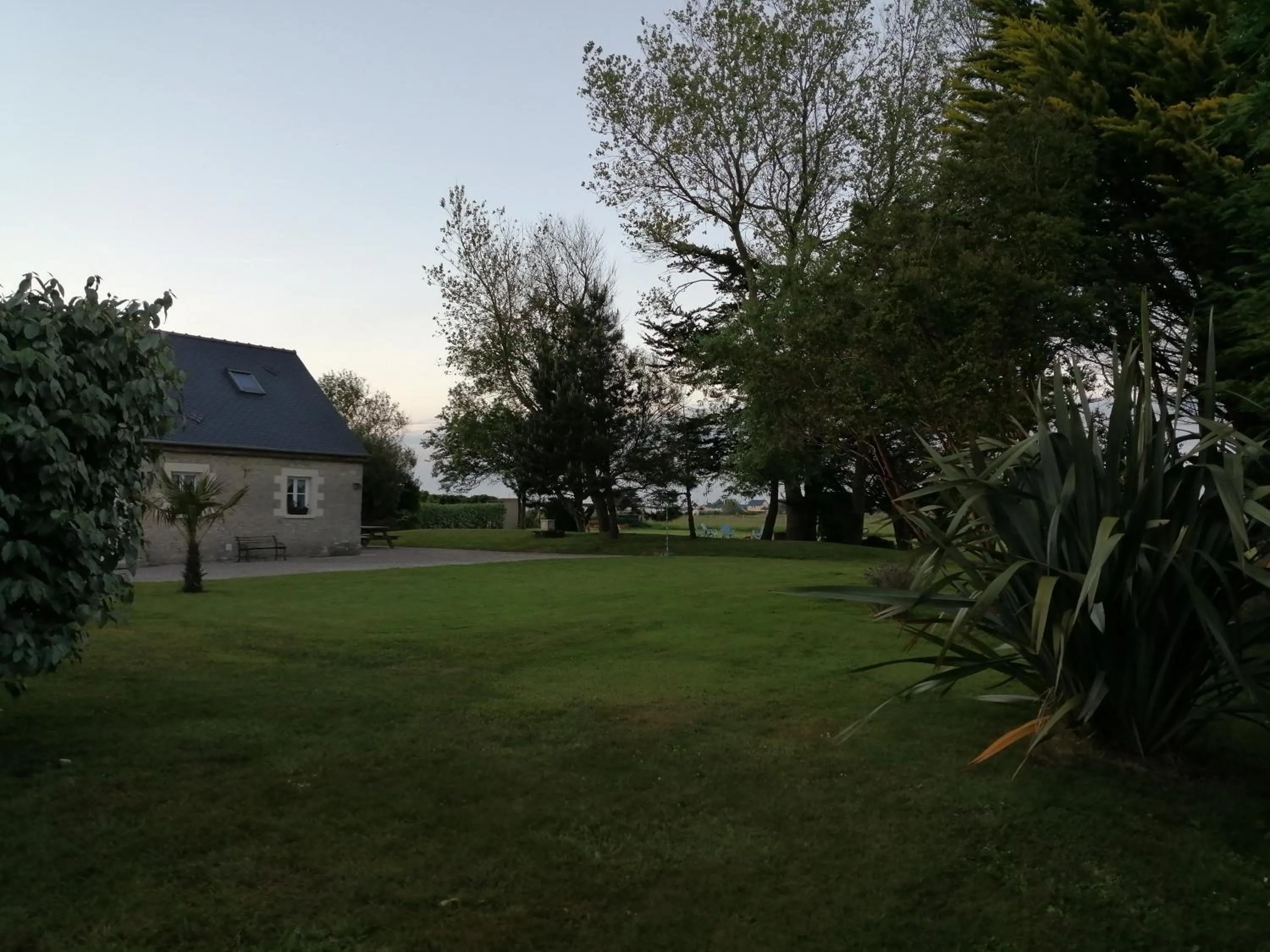 Garden in Ivy House Utah Beach