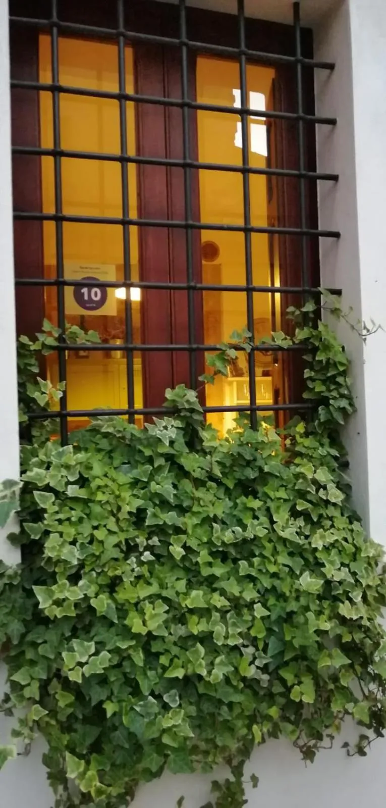 Property building in AL-ZABUT