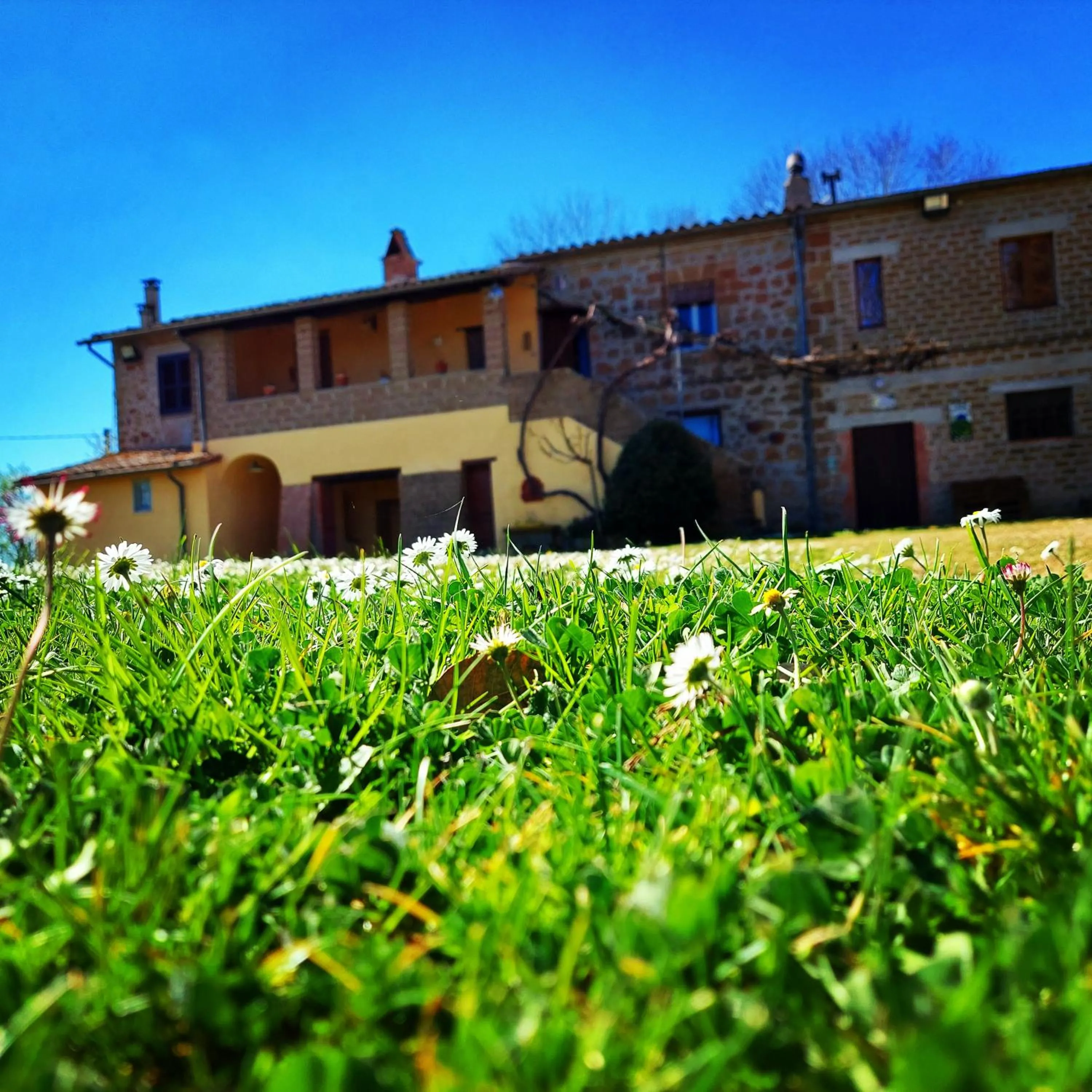 Agriturismo Podernuovo