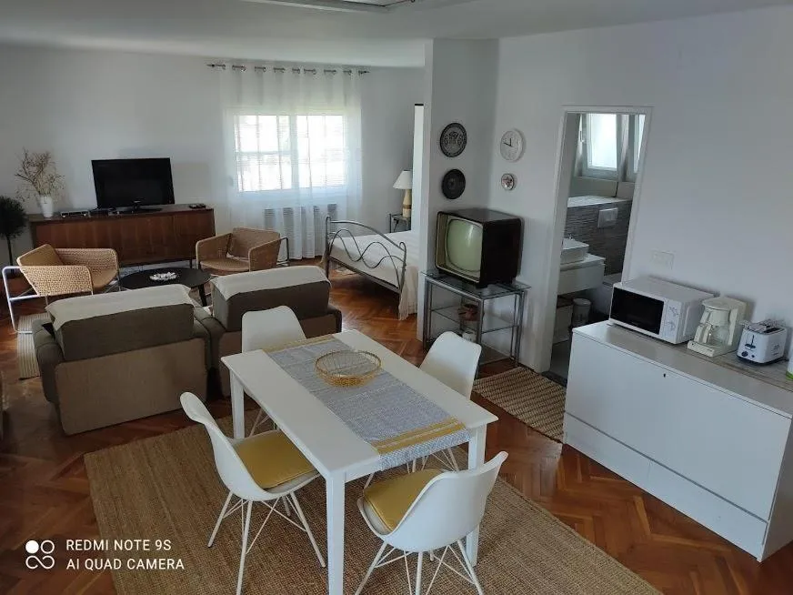 Amazing seaview apartment with a balcony near the beach - Kneza Trpimira I