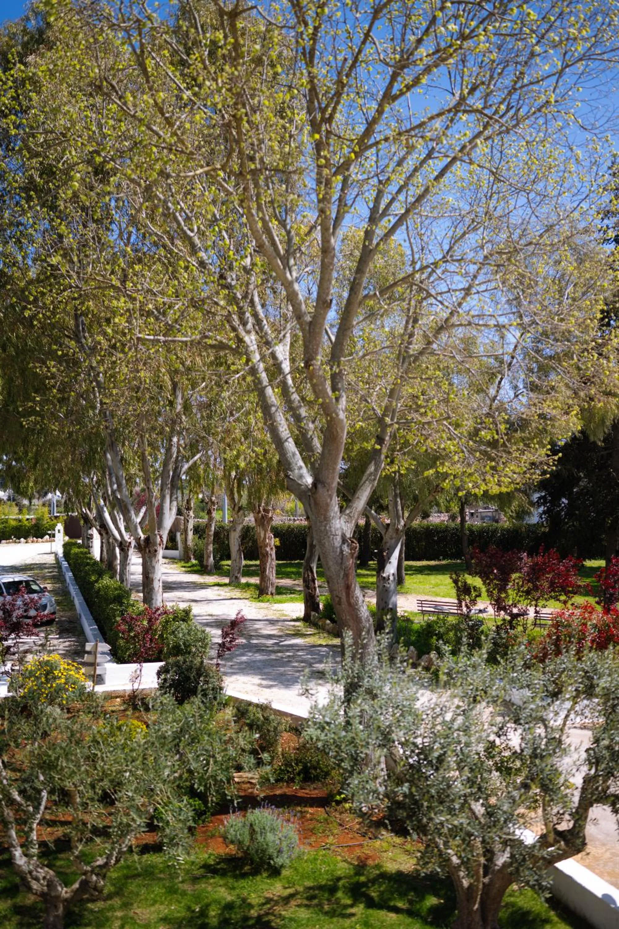 Spring in Masseria San Michele