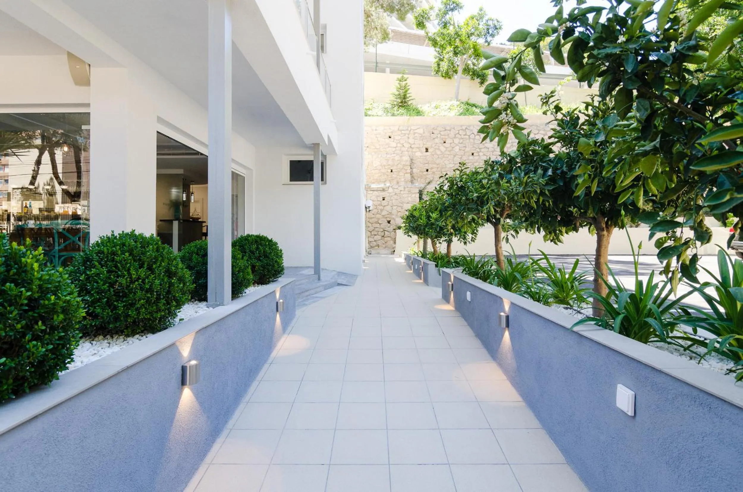 Area and facilities in Apartamentos Sofia