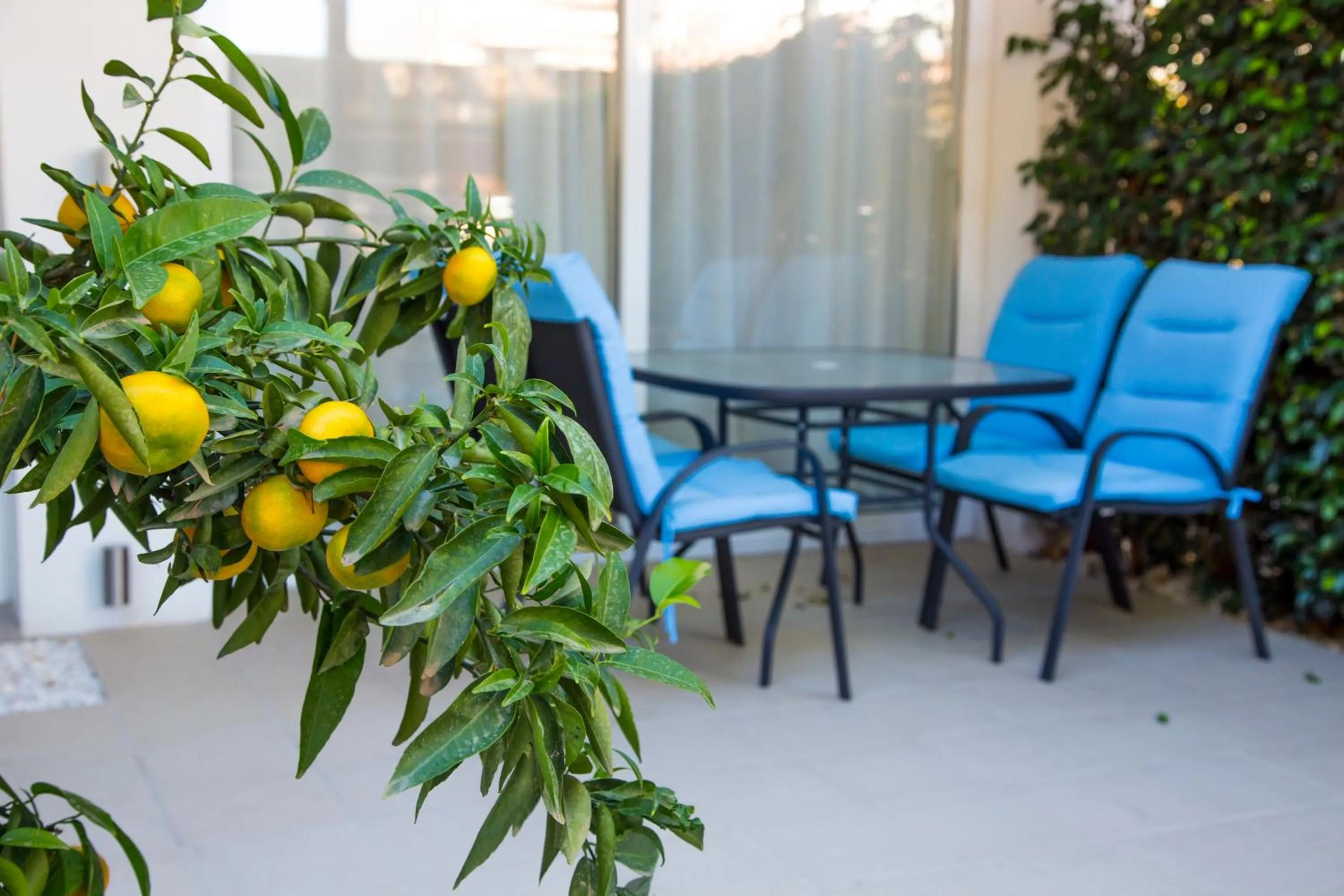 Decorative detail in Apartamentos Sofia