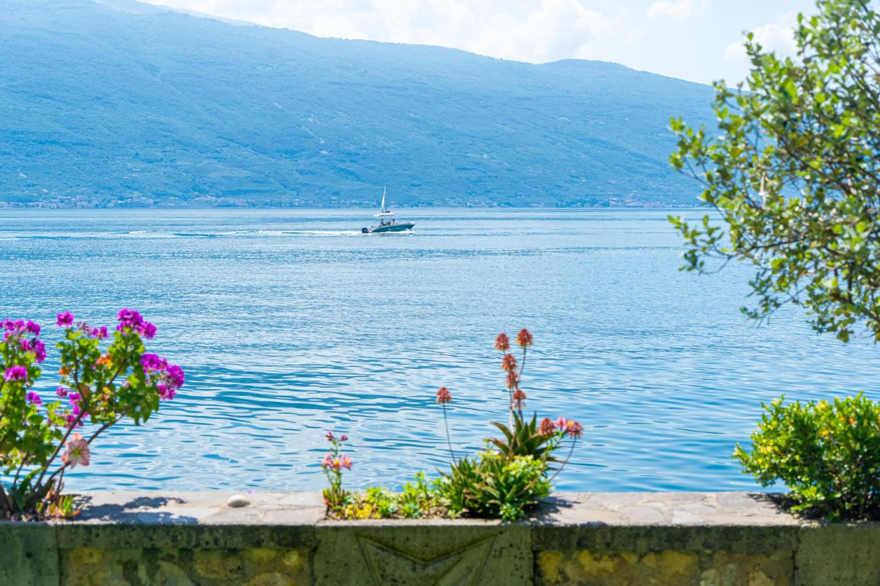 Day in Hotel Forbisicle